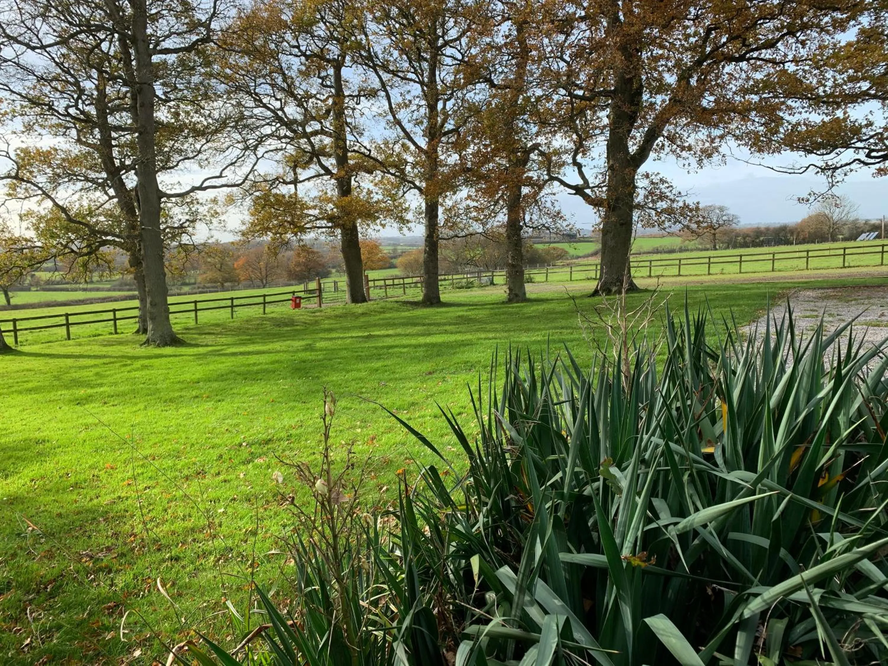 Garden in The Coppleridge Inn