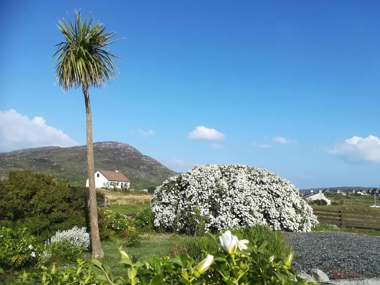 Garden view in Brae Lea House, Lochboisdale, South Uist. Outer Hebrides