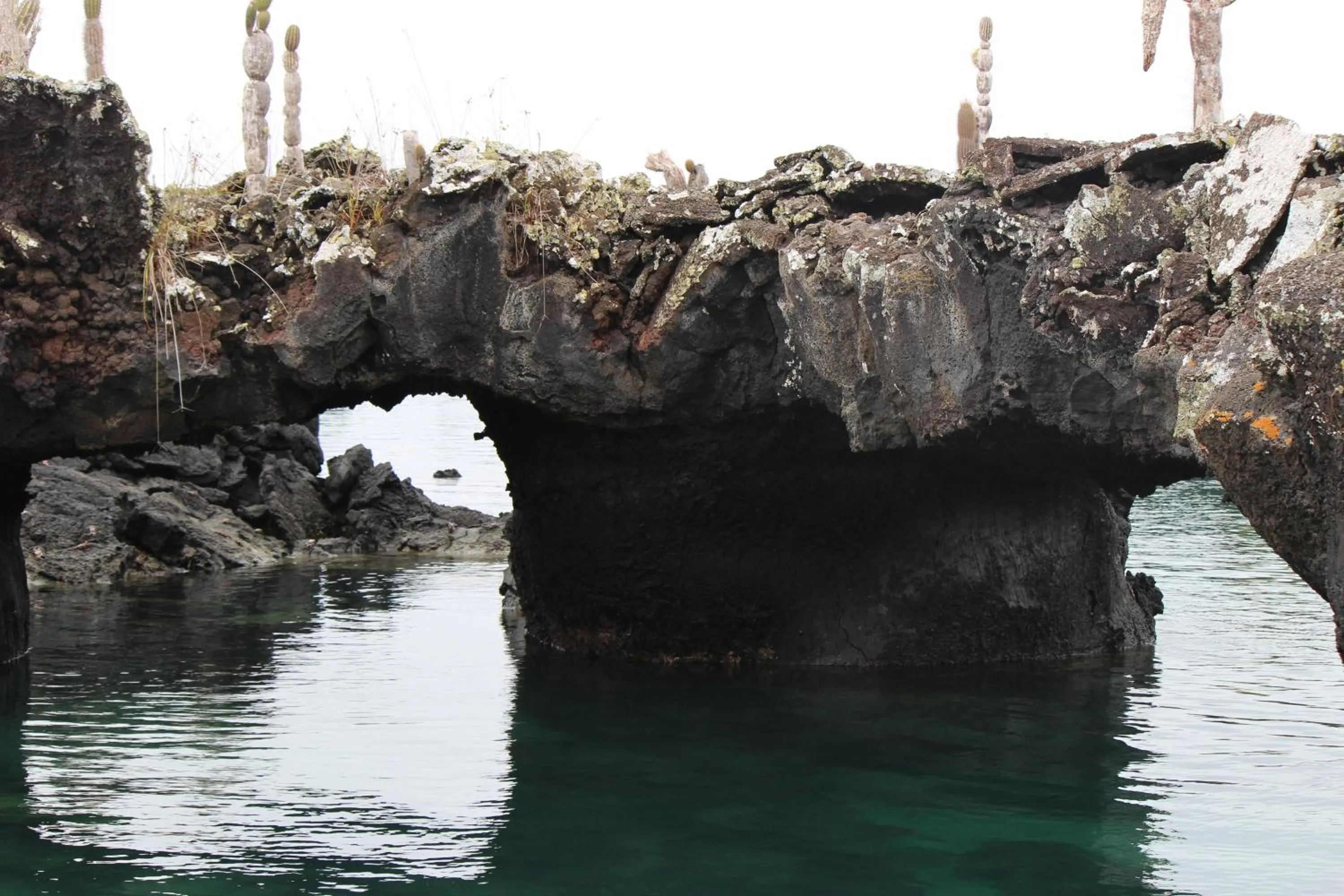Nearby landmark in Gran Hostal Tintorera