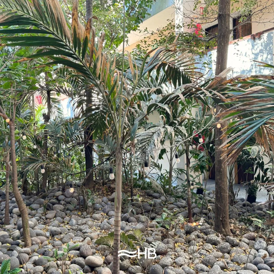 Hotel Barra de Navidad