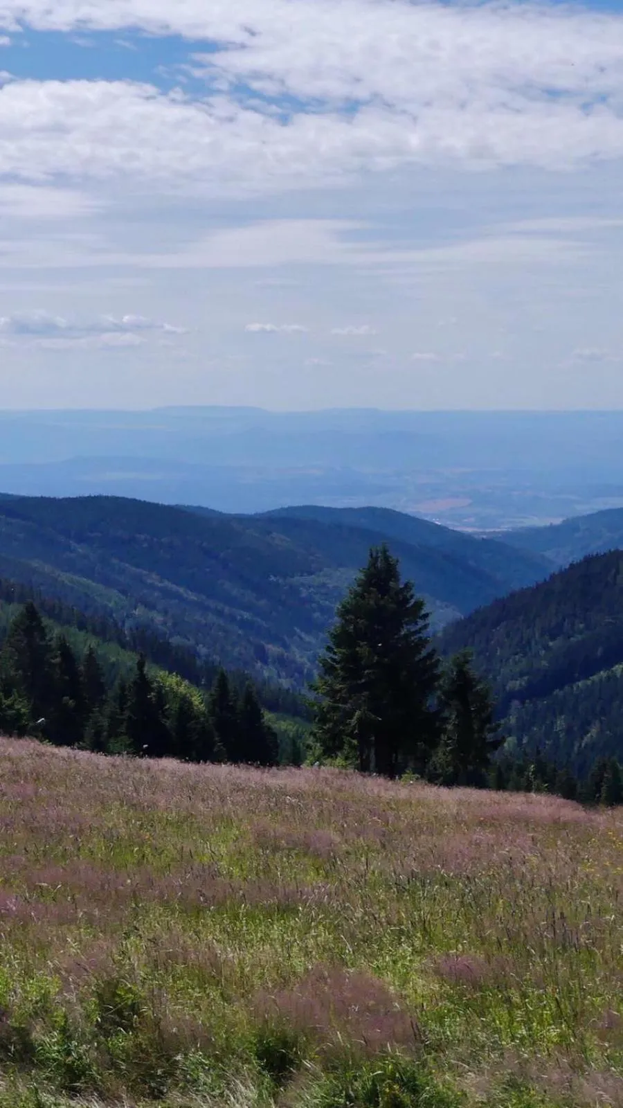 Nearby landmark in Jáchymoff