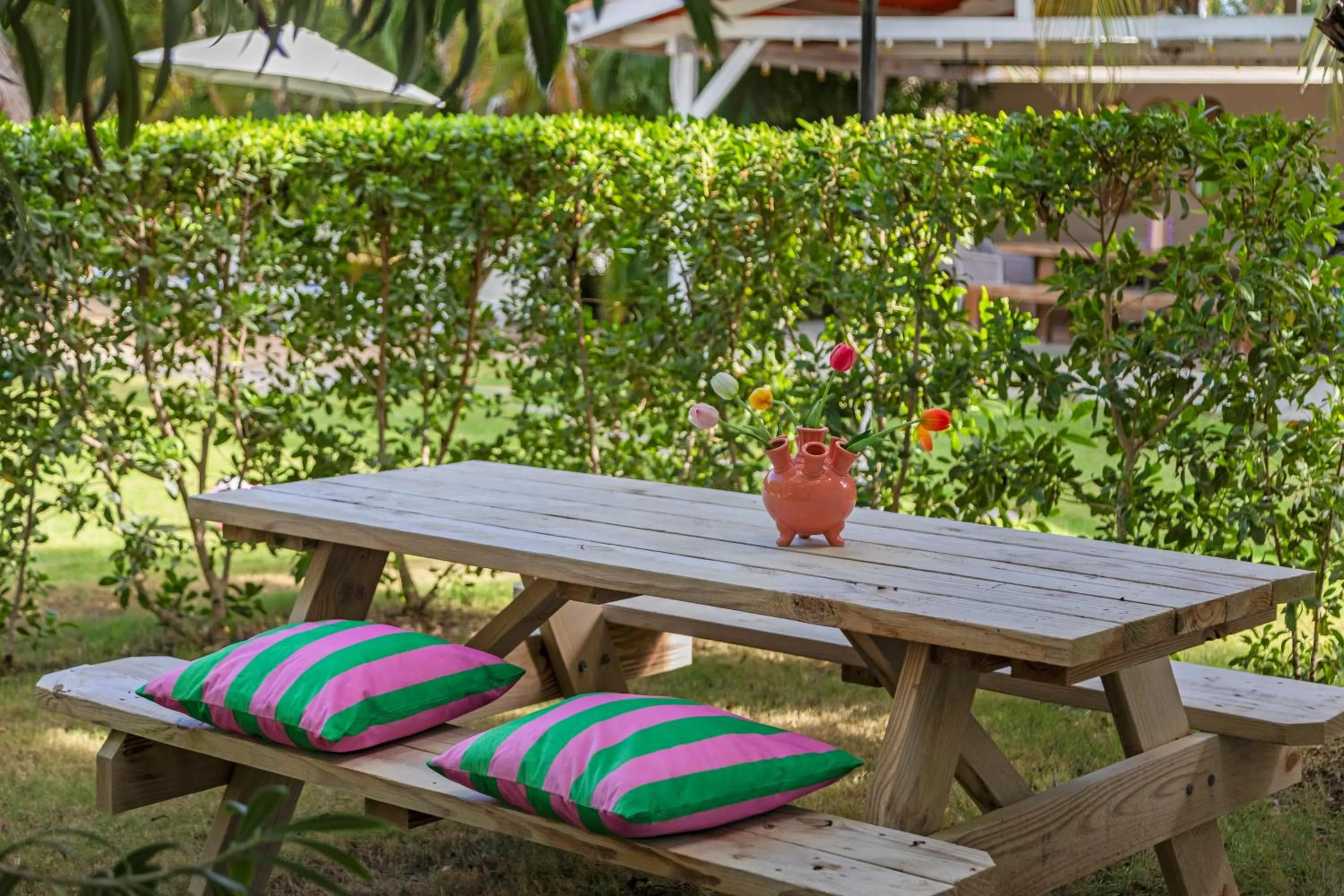 Garden in TUK Tropical Boutique Resort Jan Thiel