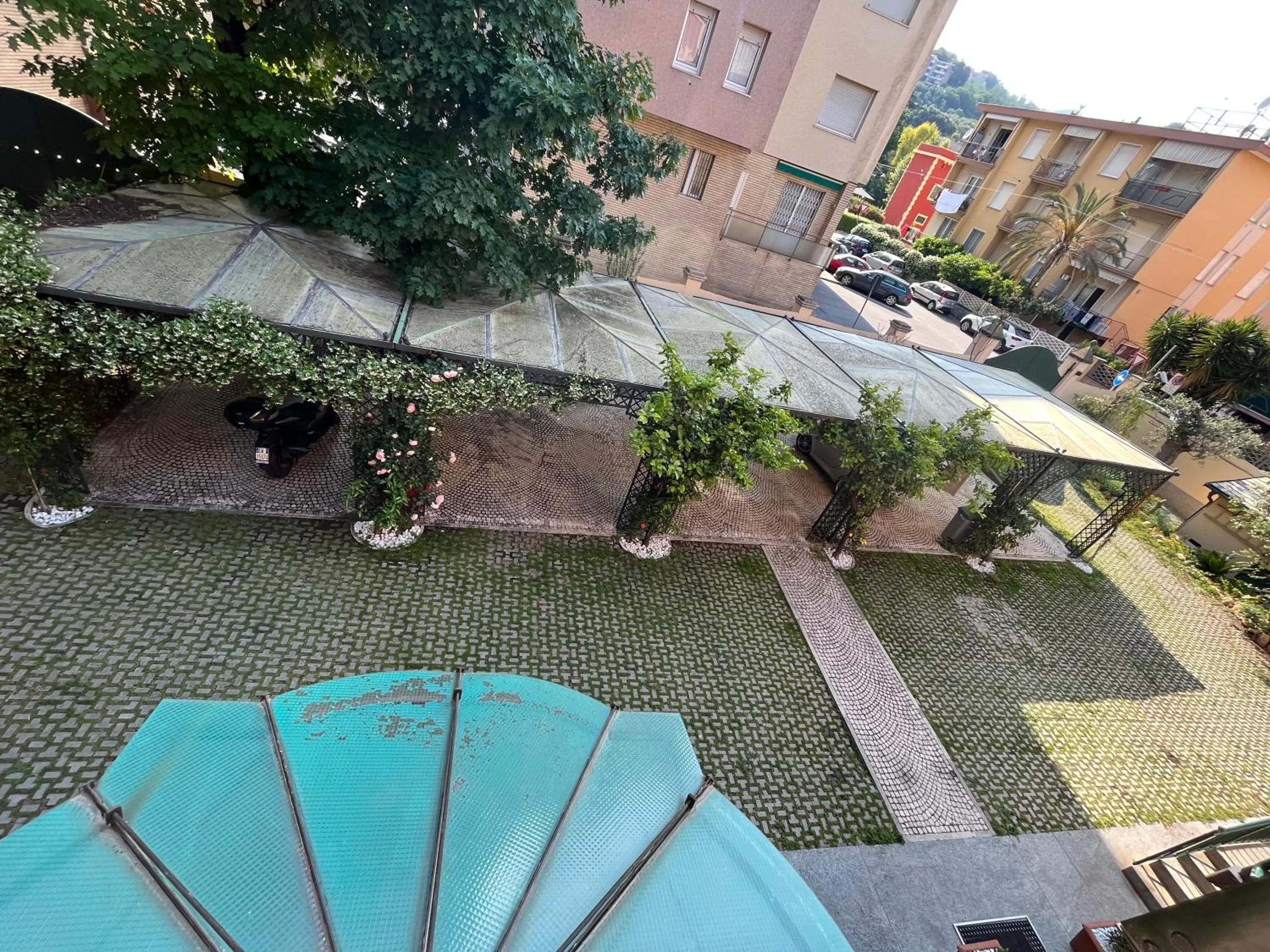 Garden in Villa Mirosa