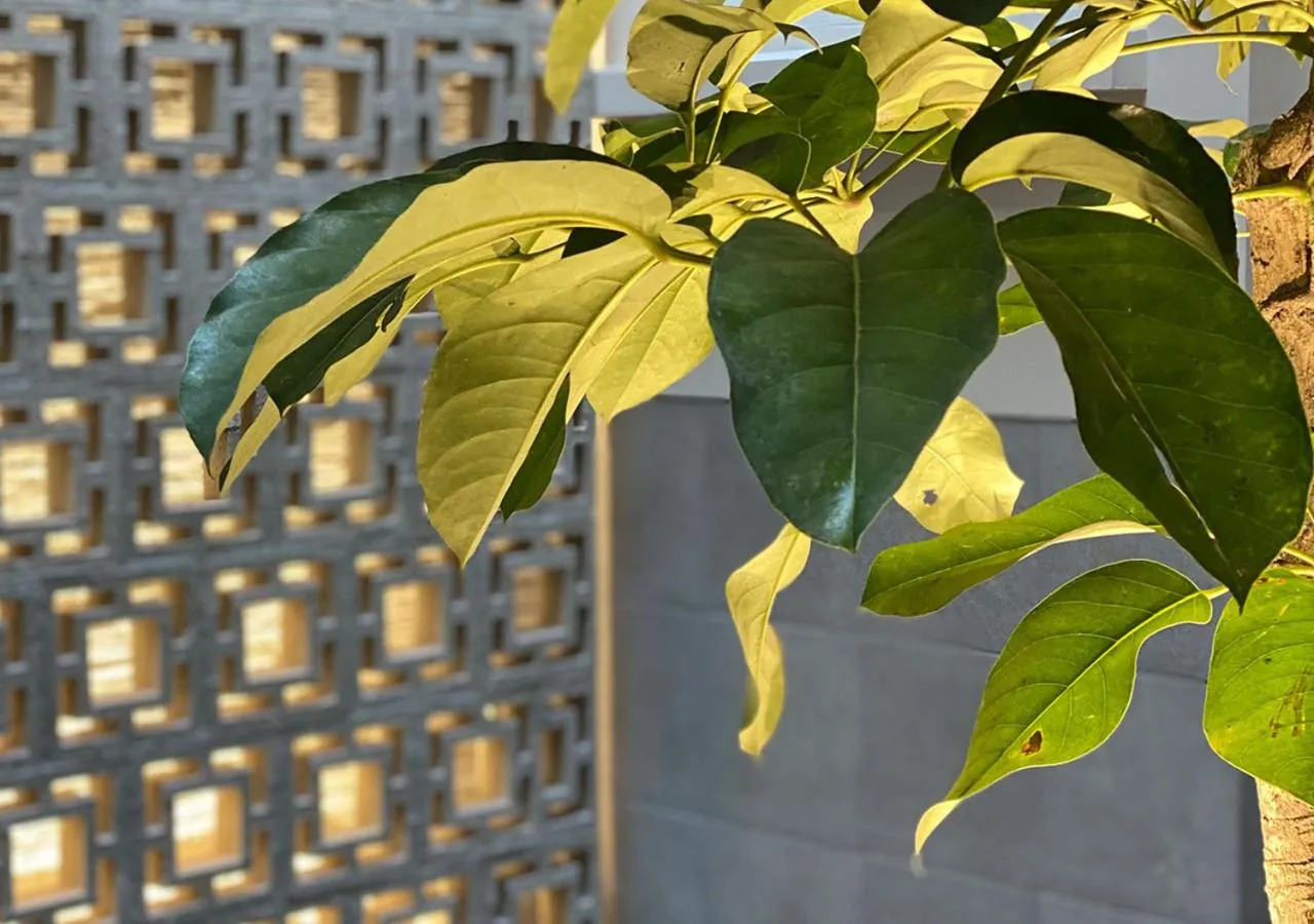 Patio in Hotel MX zócalo CDMX, Trademark Collection by Wyndham