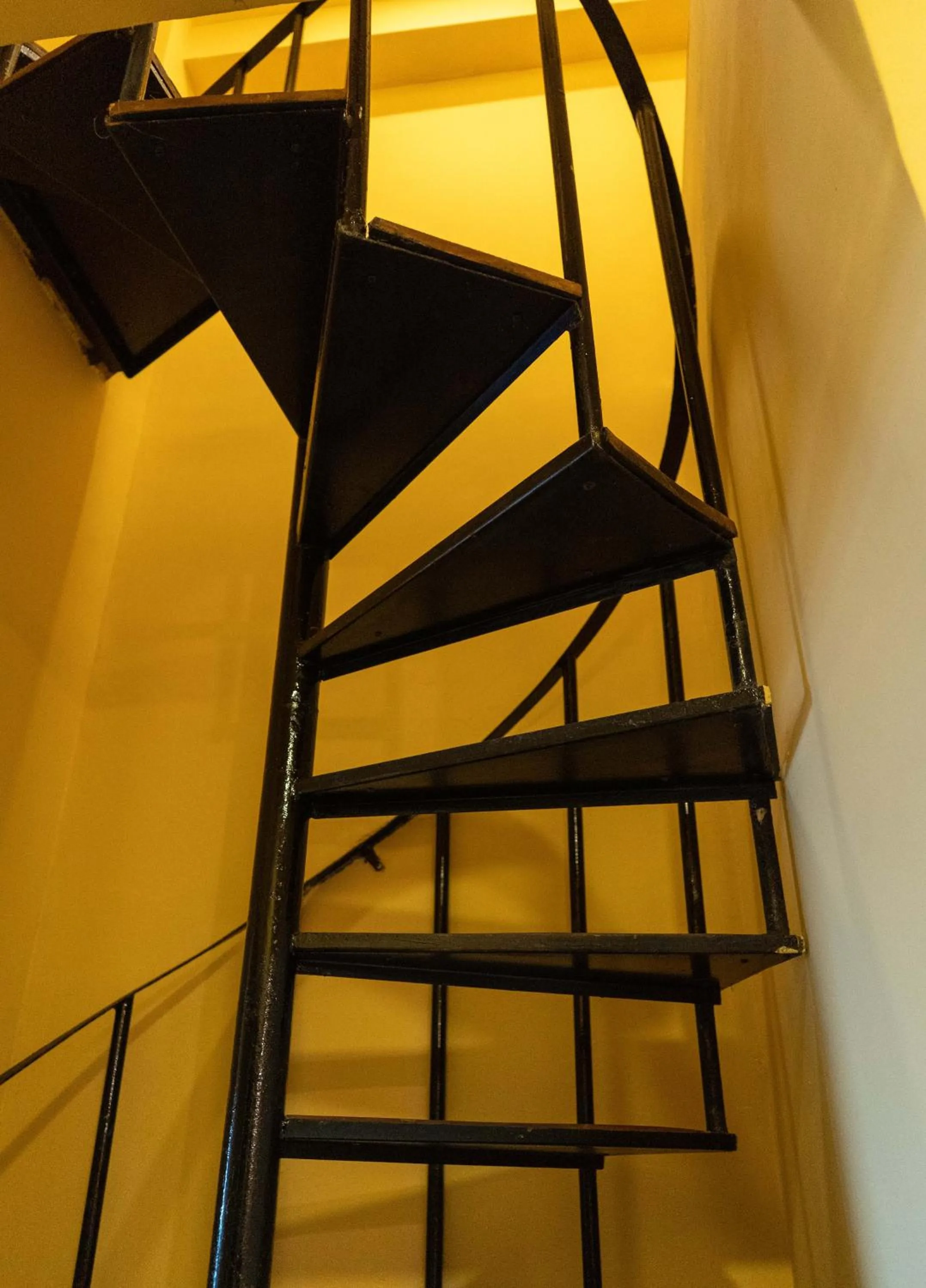 People in Longboard Paradise Surf Club