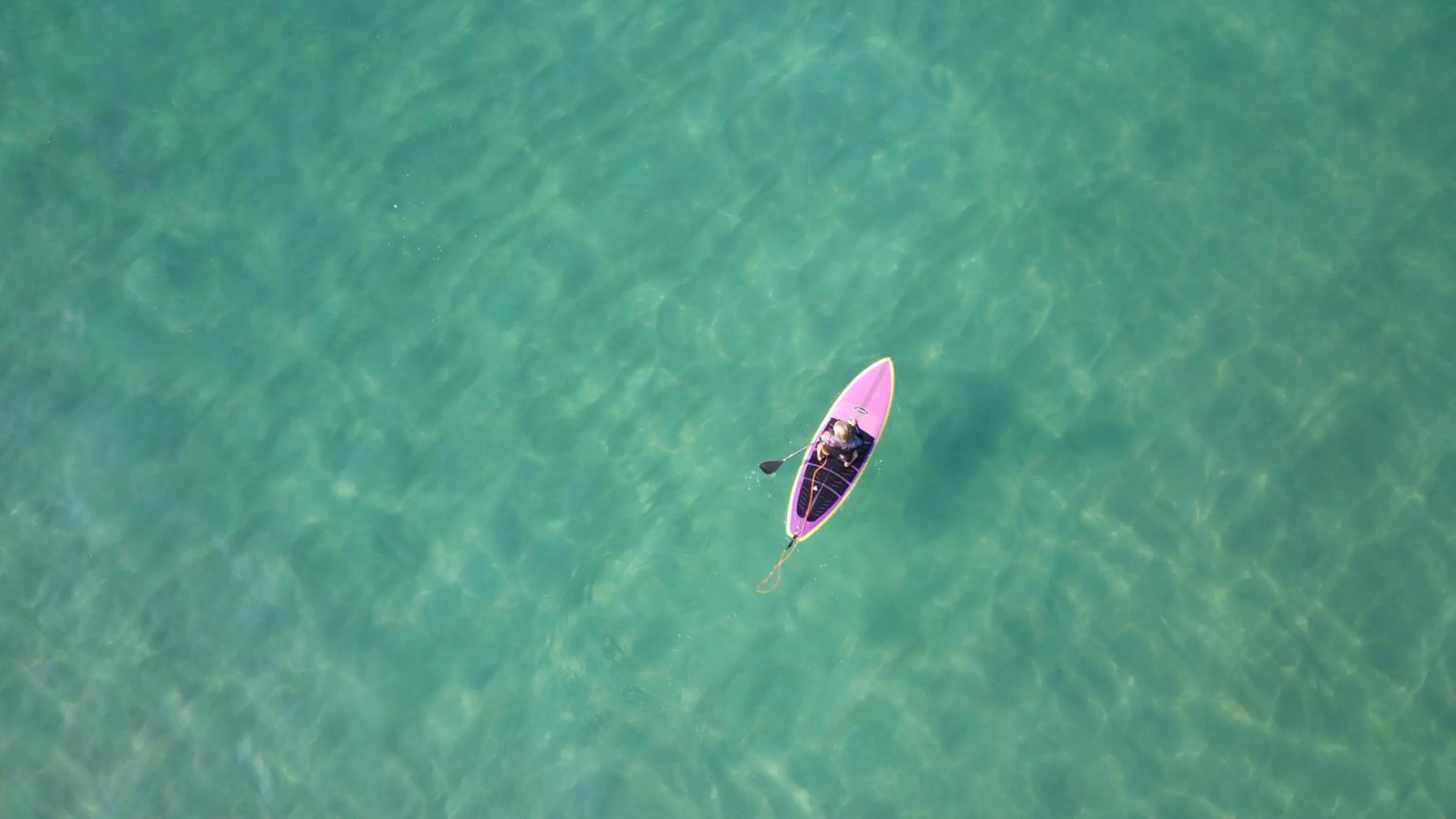 Day in Longboard Paradise Surf Club