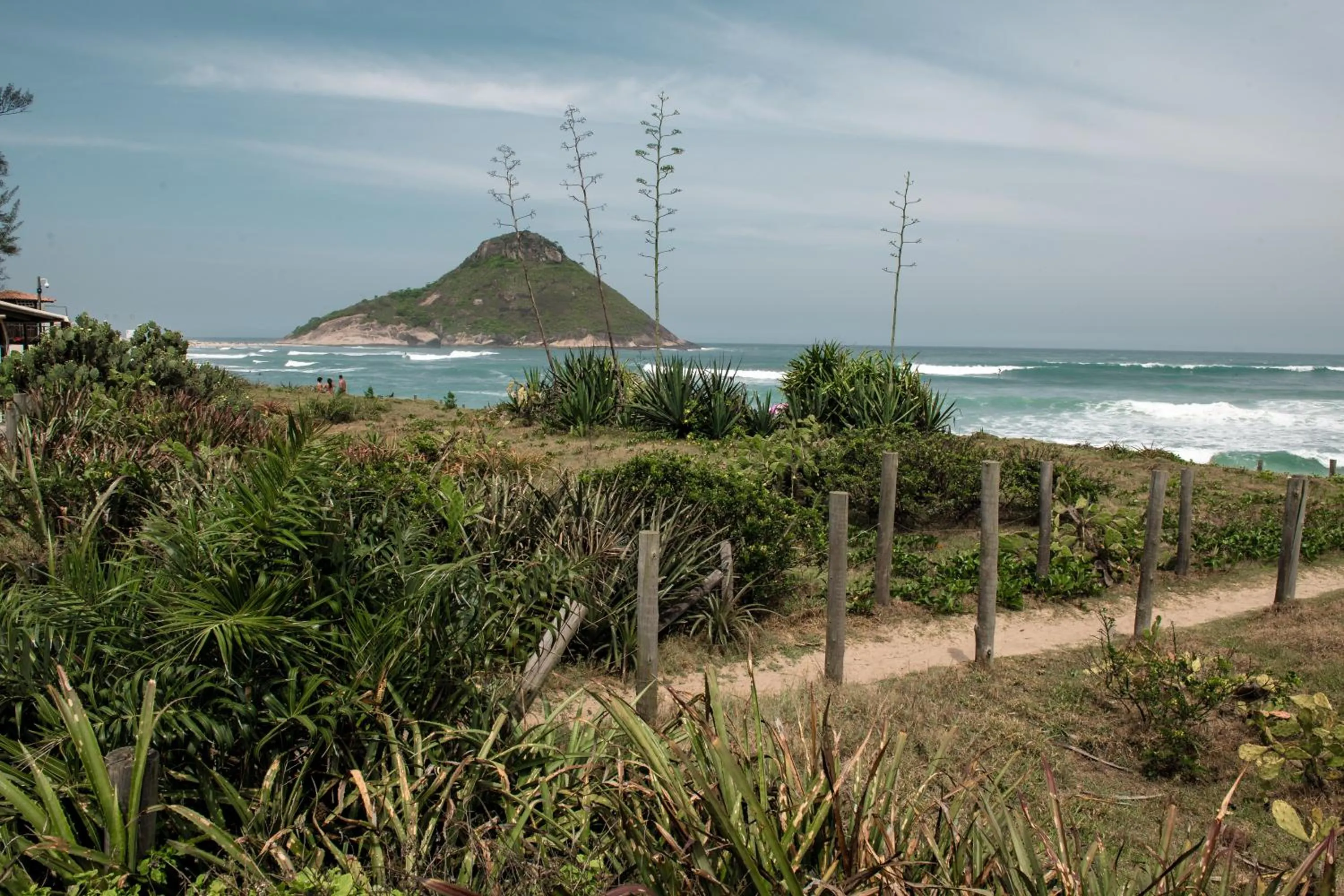 Beach in Longboard Paradise Surf Club