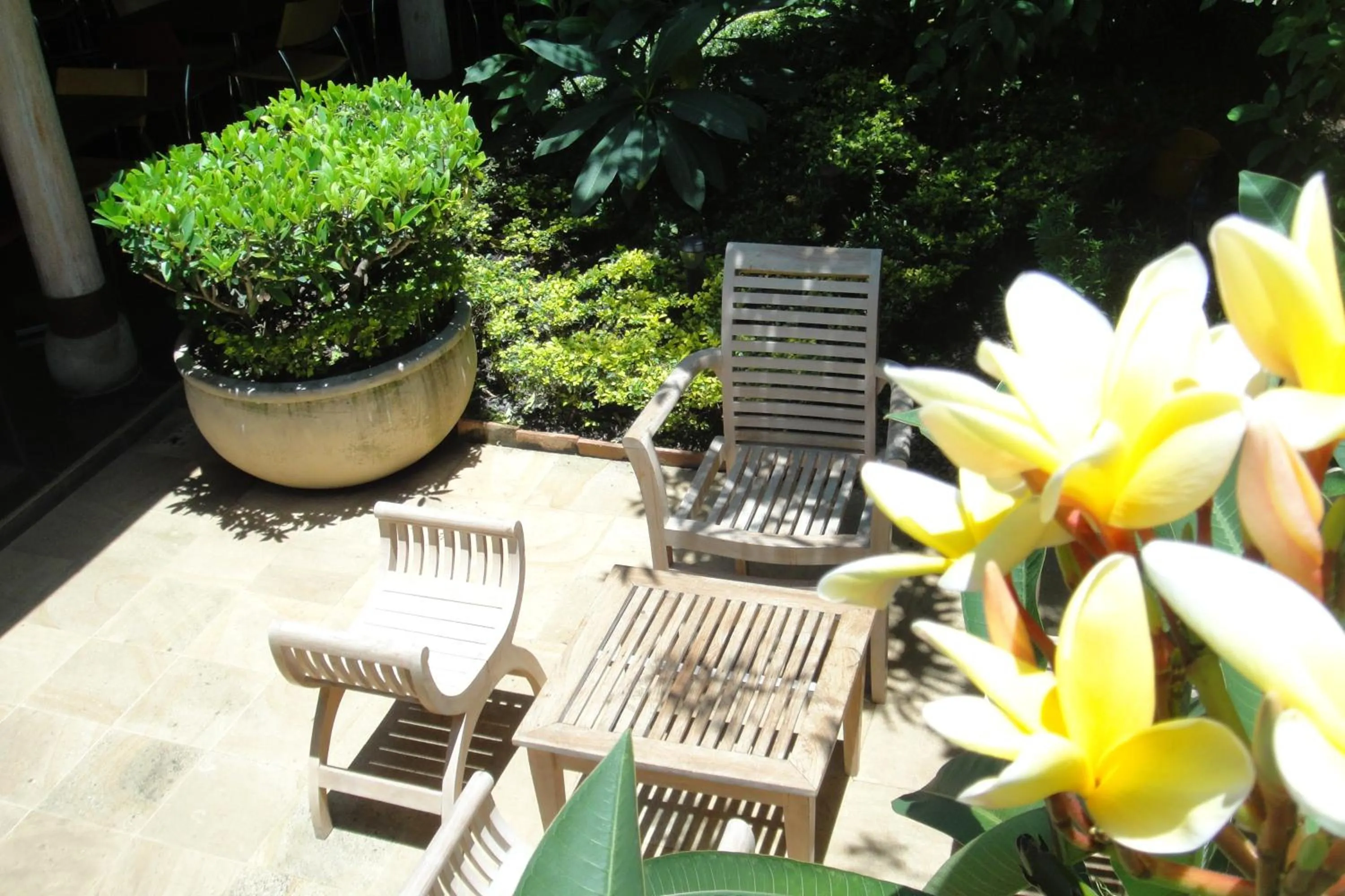 Garden in Casa Oniri Hotel Boutique