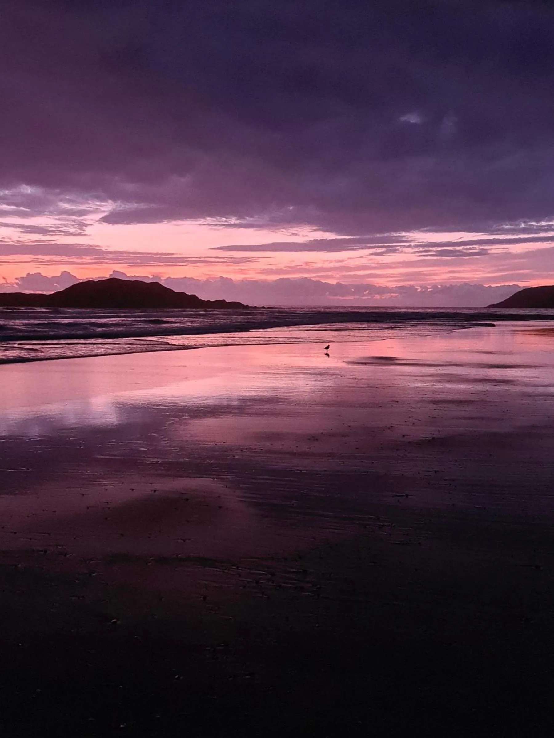 Beach in Ocean Parade Motel