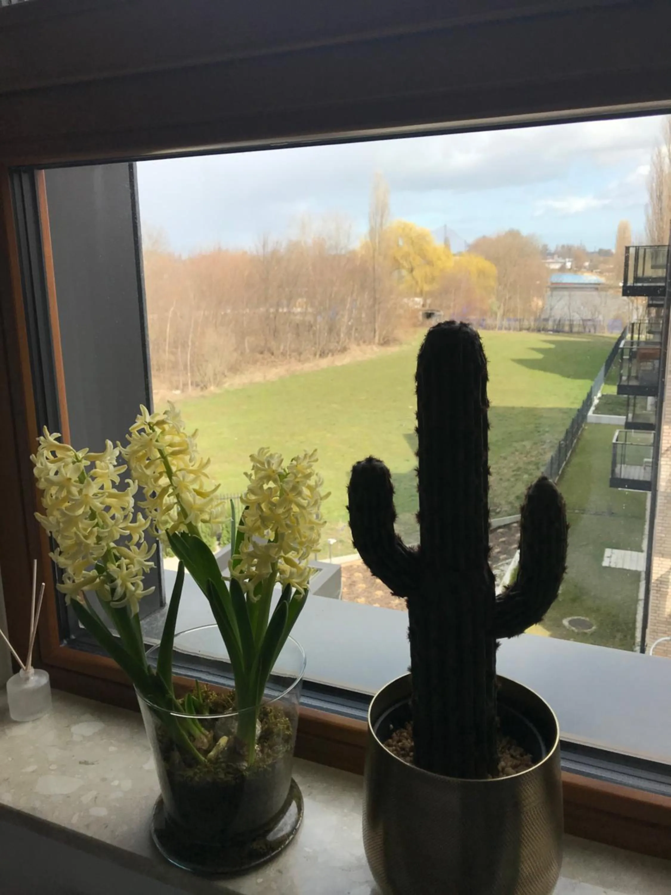 Baltic Riviera Apartments - Garden Sanctuary Retreat