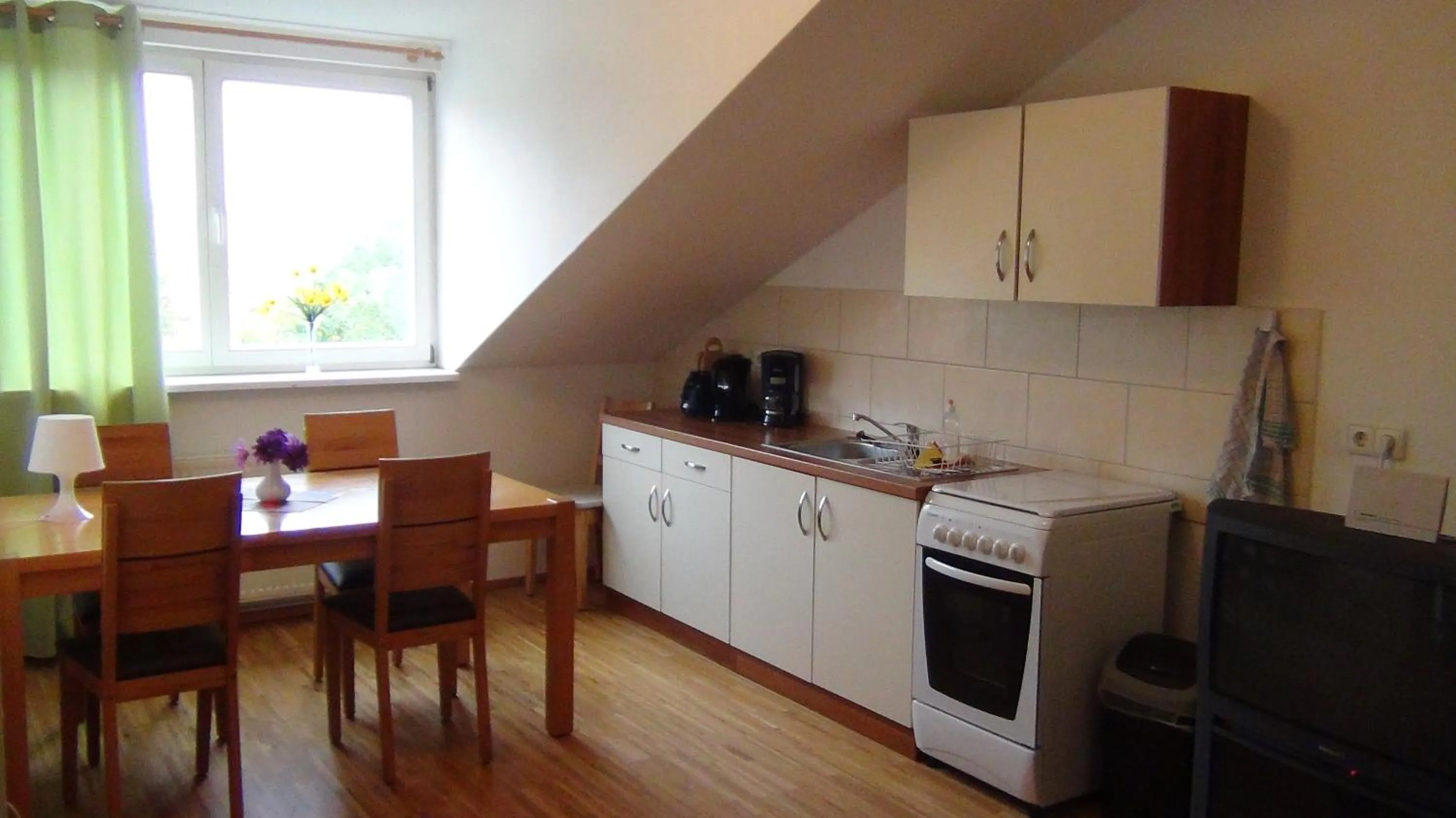 Kitchen or kitchenette in Apartmentpension am Stadtschloss