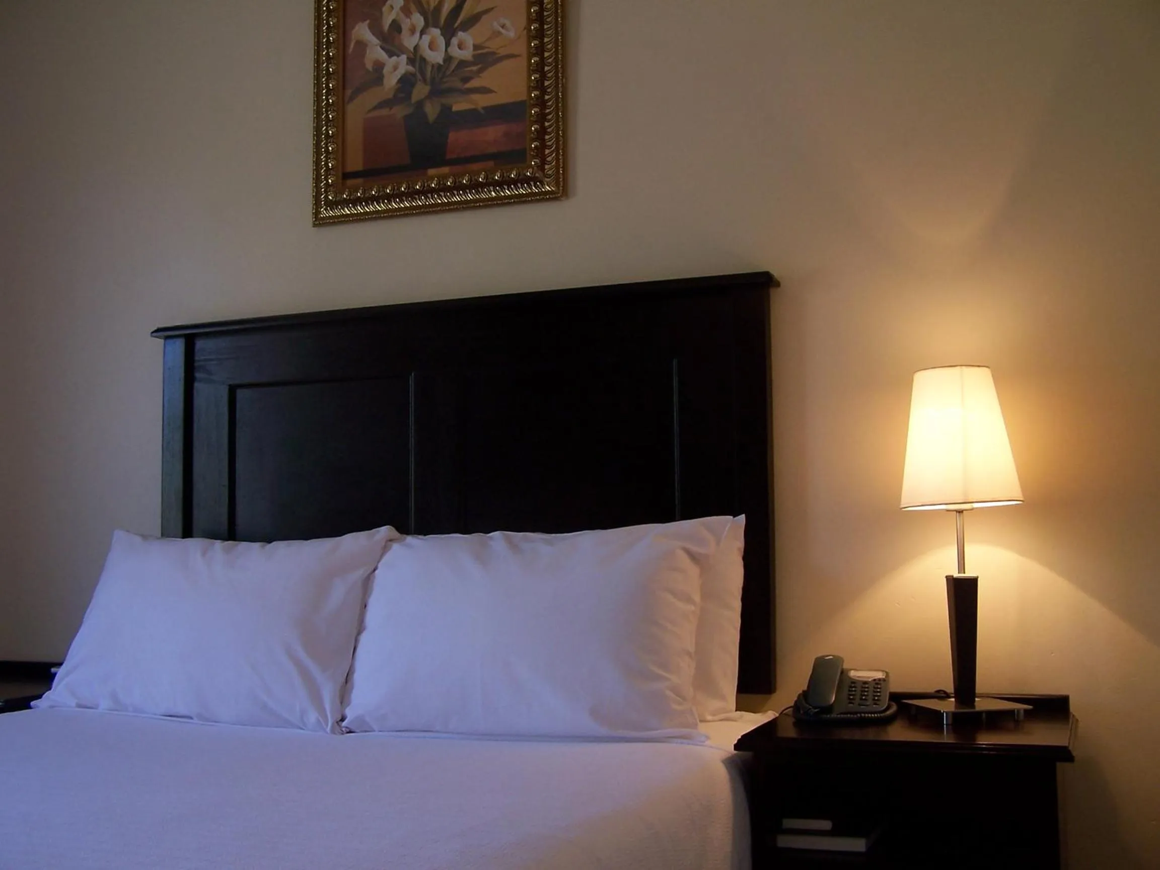 Bed in Regal Inn PMBurg