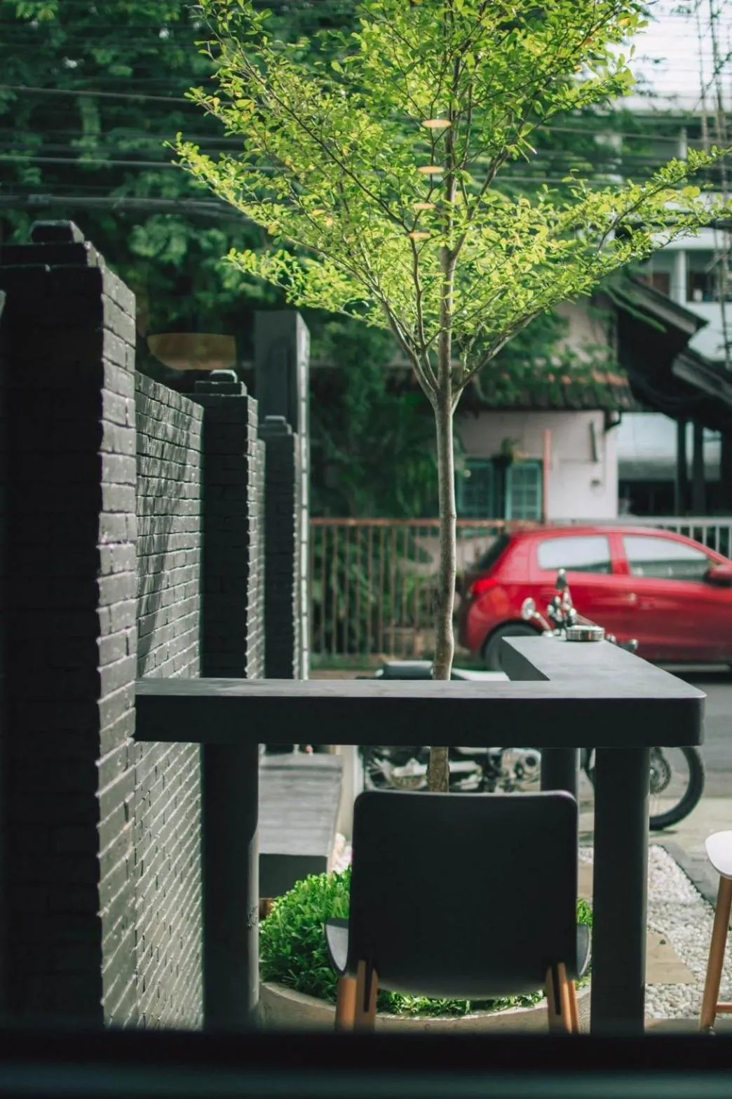 Garden in Psych Hostel