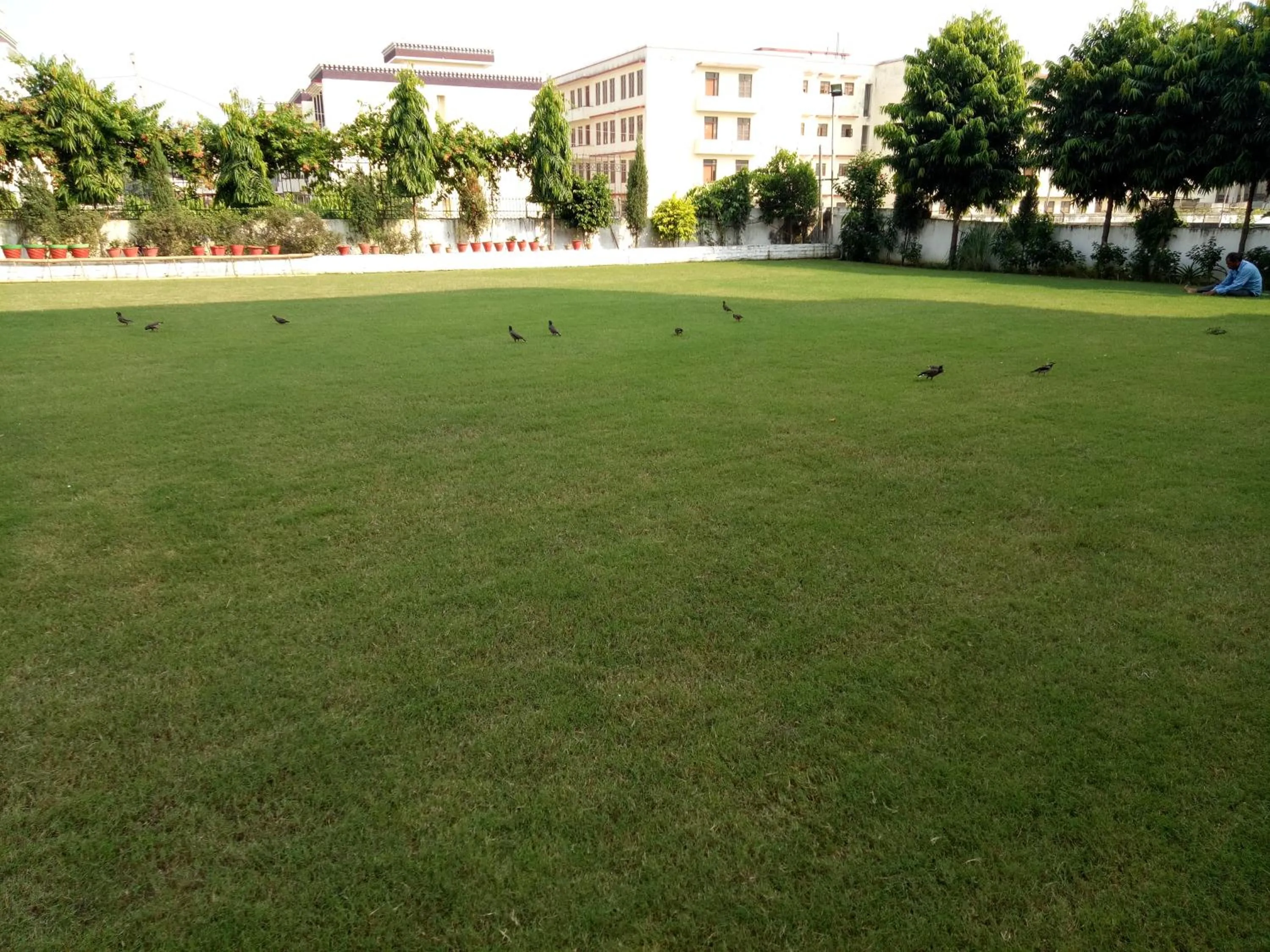 Garden in Hotel Taj Darbar