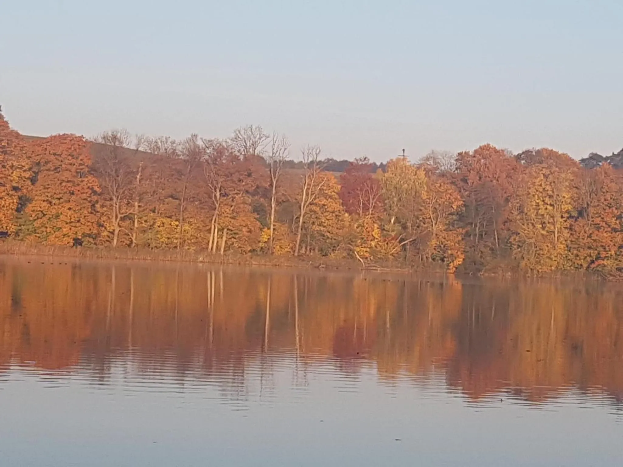 Natural landscape in Seeschloss Schorssow
