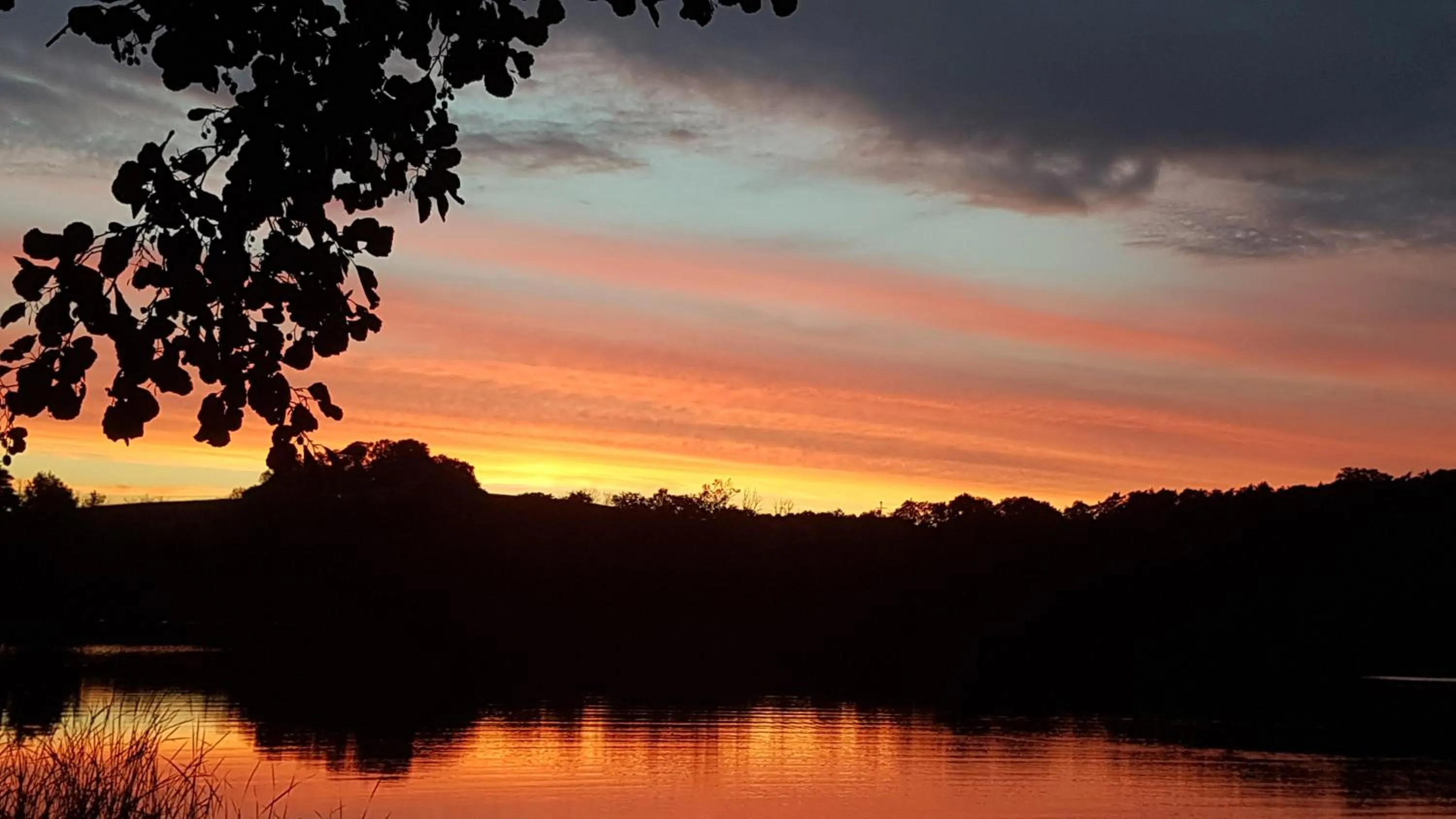Lake view in Seeschloss Schorssow