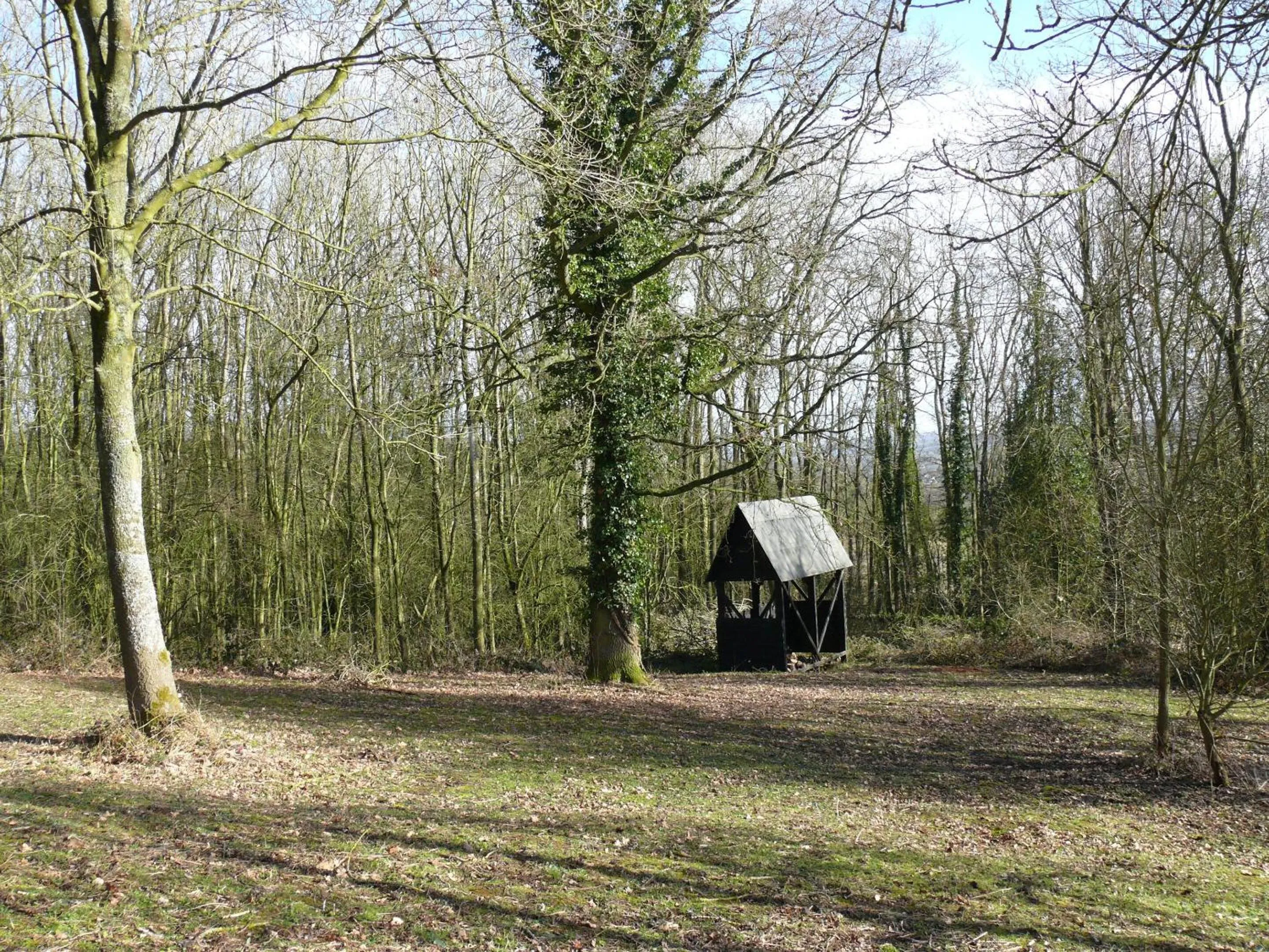 Garden in The Motor House