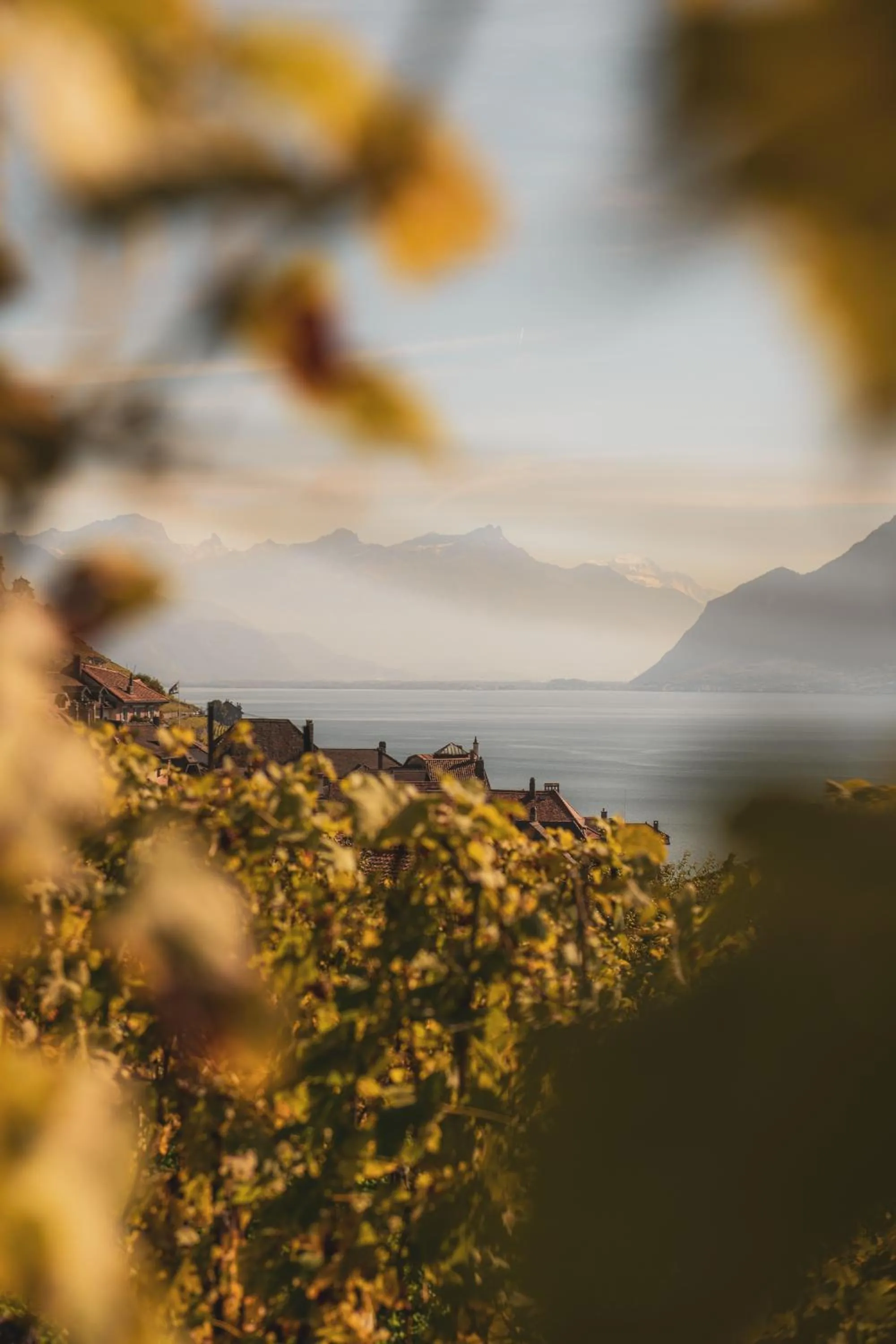 Natural landscape in Grand Hotel du Lac - Relais & Châteaux