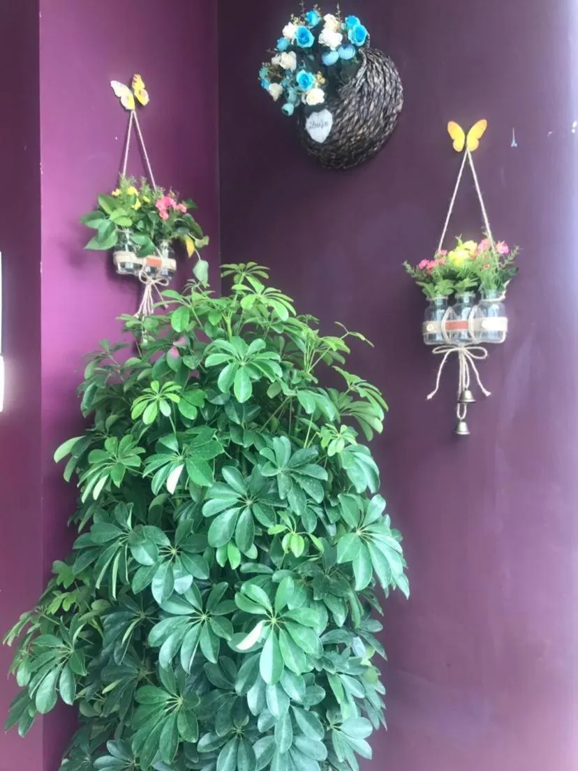 Jinjiang Inn Xuzhou Xinyi Municipal Government