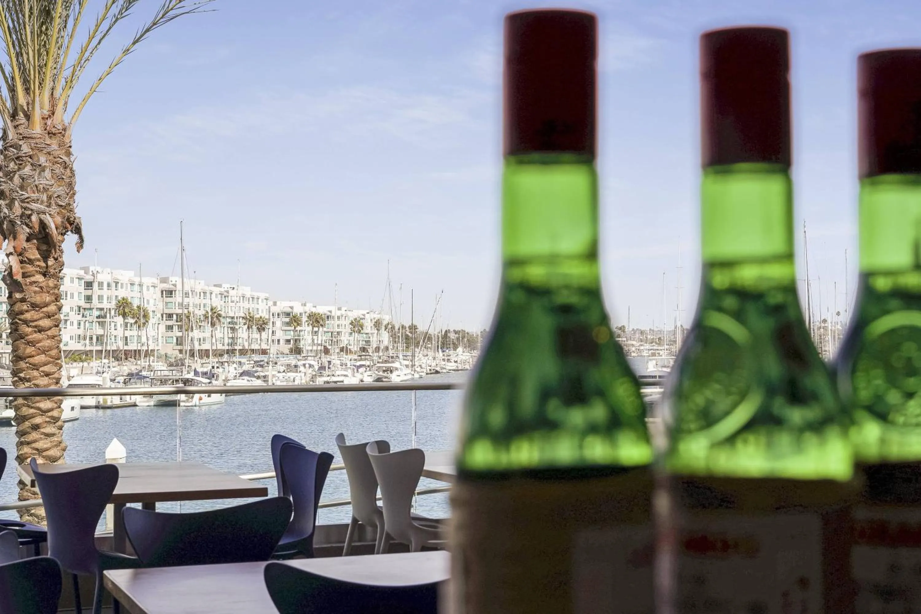 Lounge or bar in Courtyard by Marriott Marina del Rey