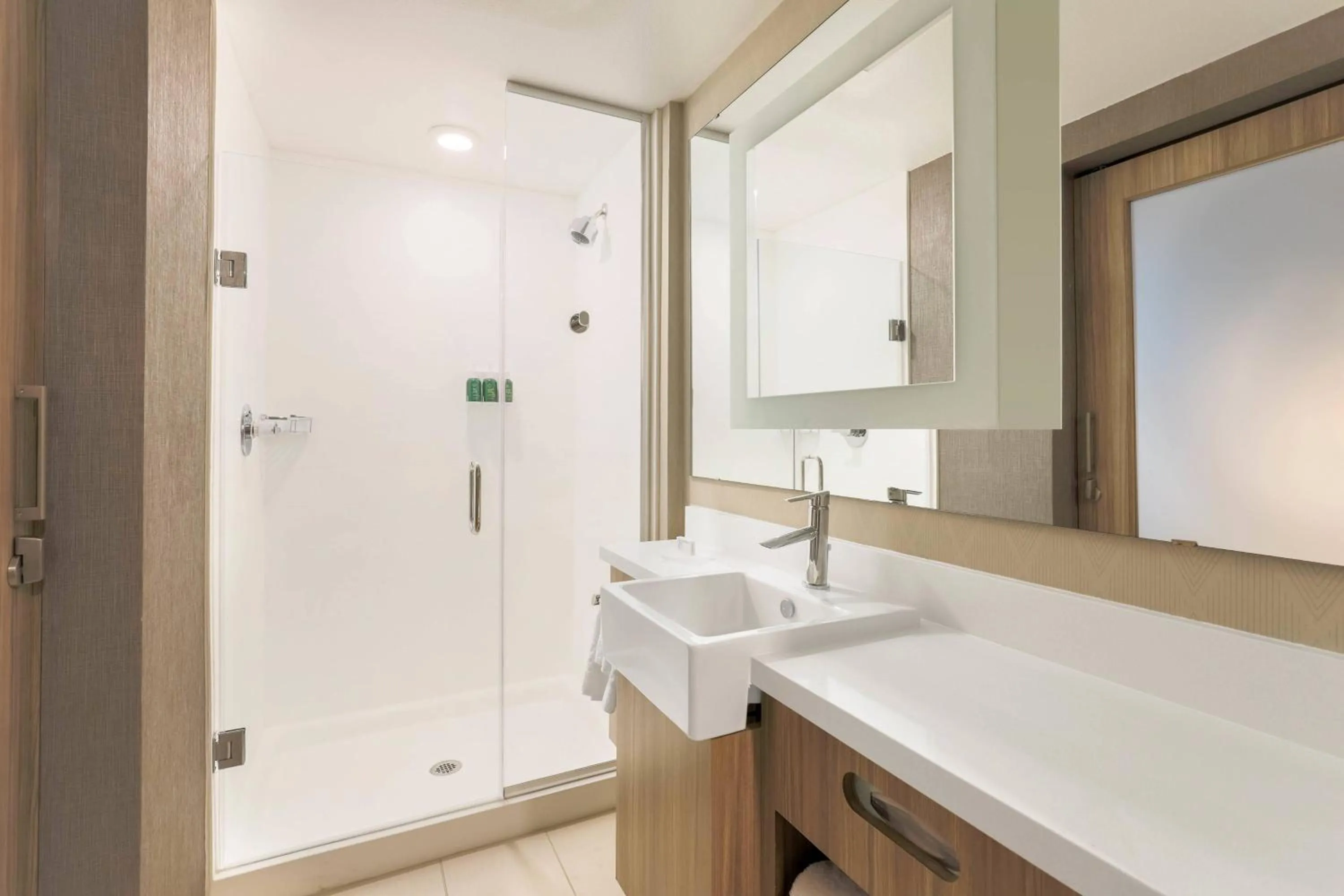 Bathroom in SpringHill Suites by Marriott Tallahassee North