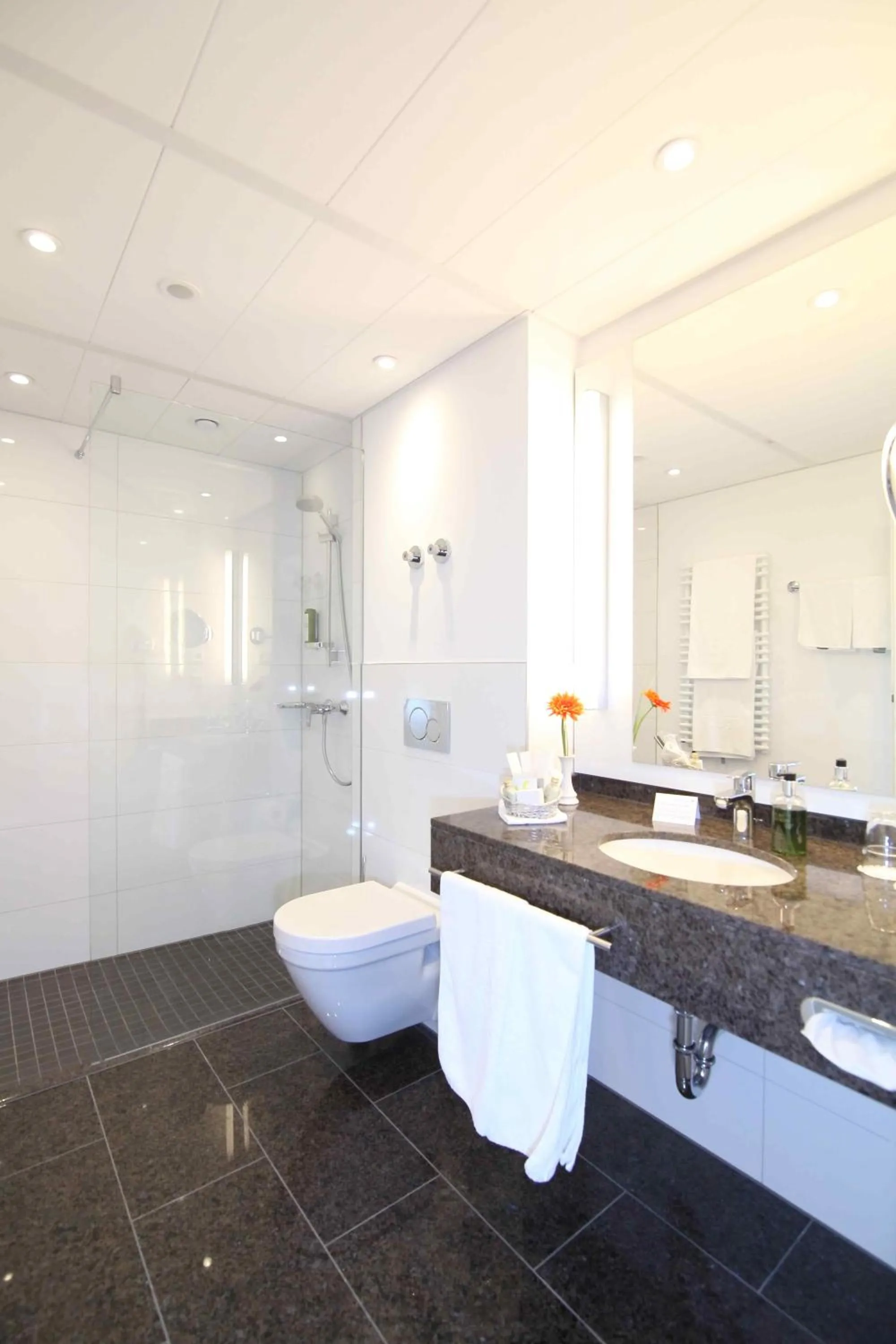 Photo of the whole room in Parkhotel Wittekindshof