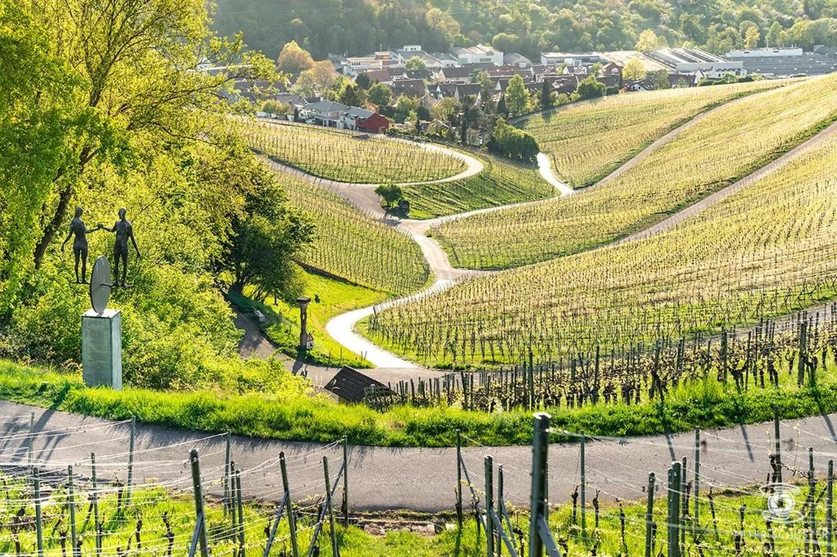 Natural landscape in Weinstadt Hotel - das Original