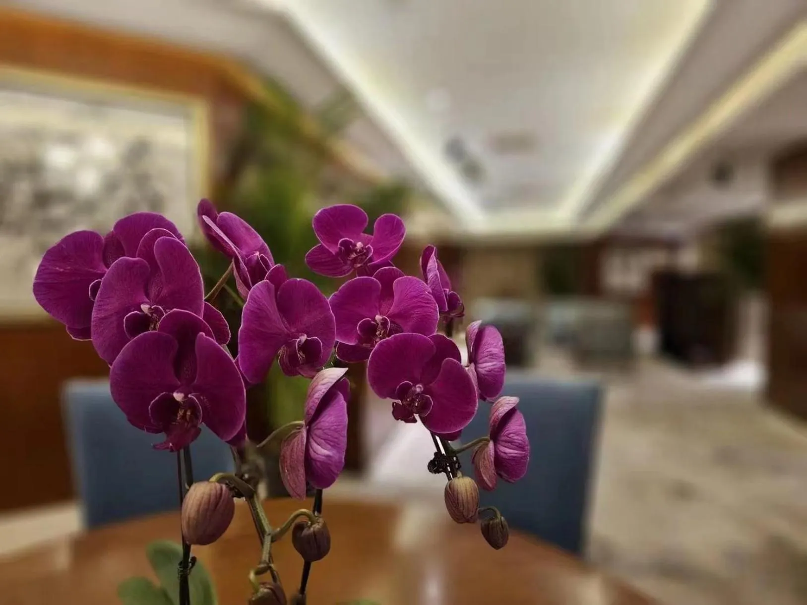 Other in Regent Beijing