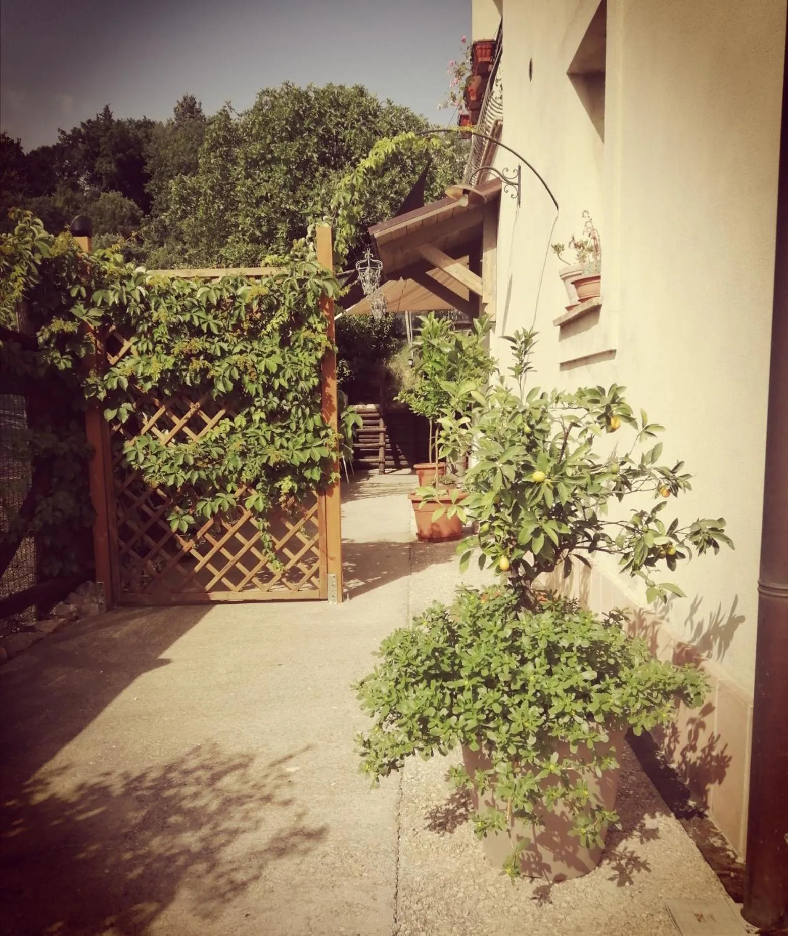 Garden in LaZita B&B