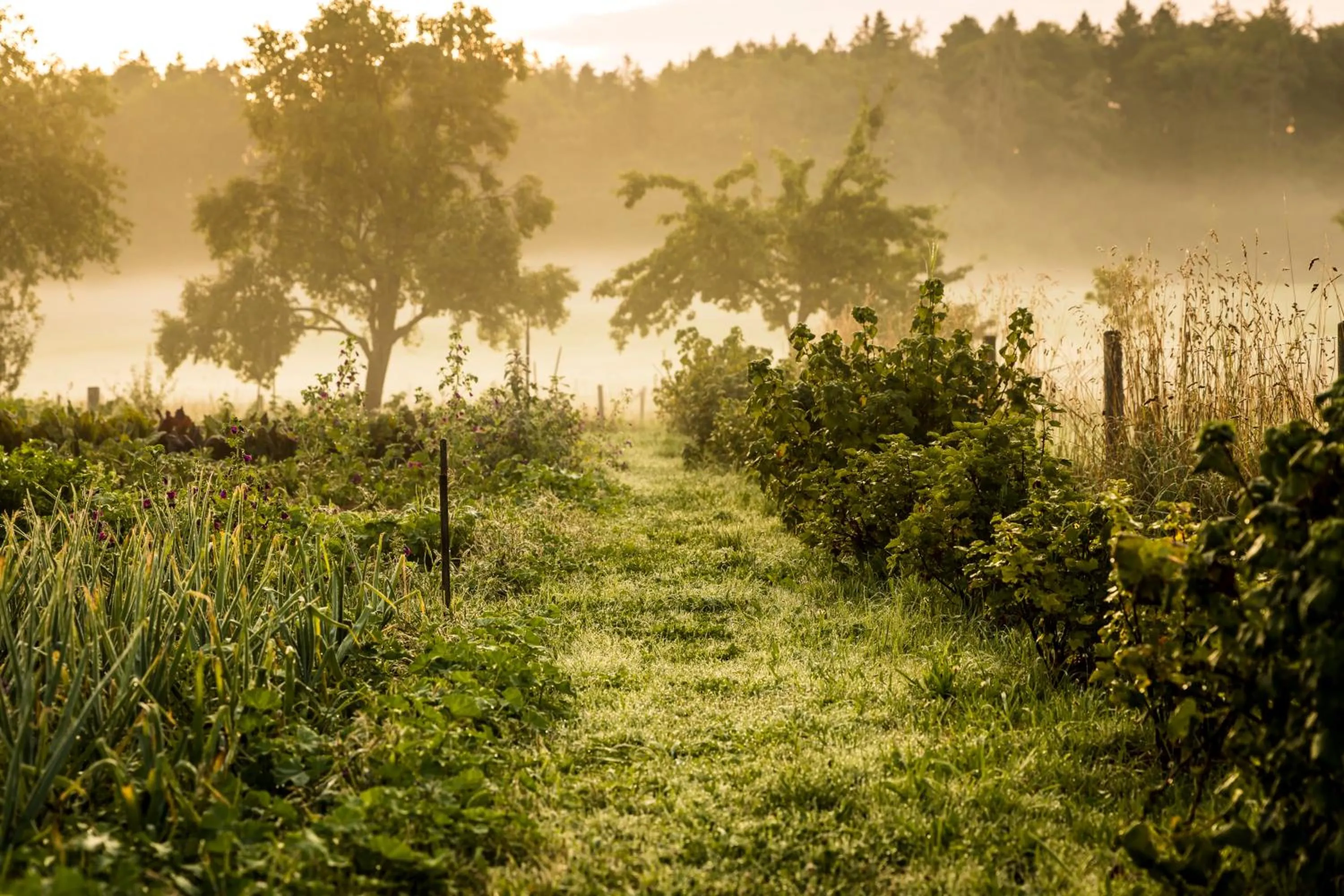 Garden in Gut Sonnenhausen