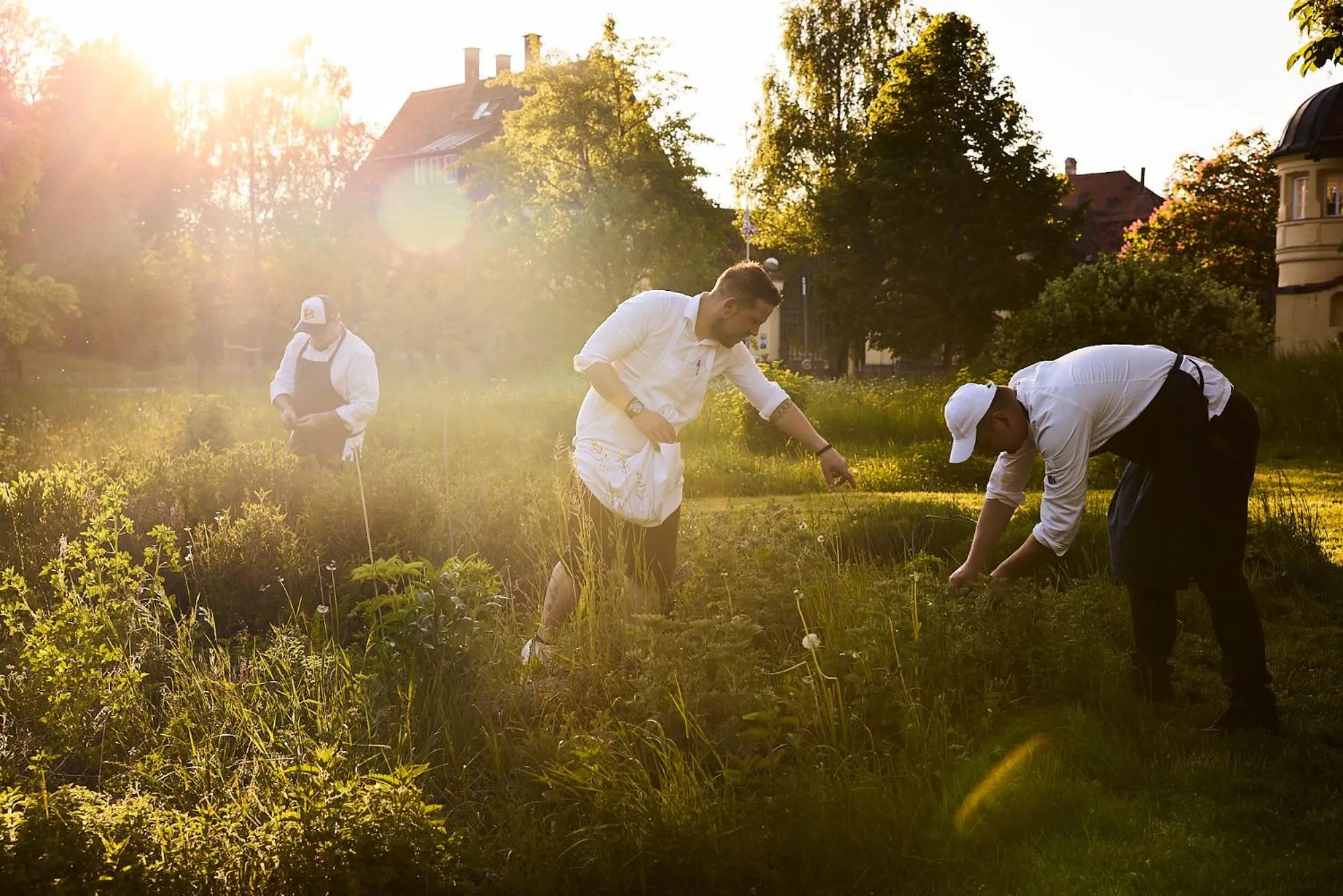 Garden in Gut Sonnenhausen
