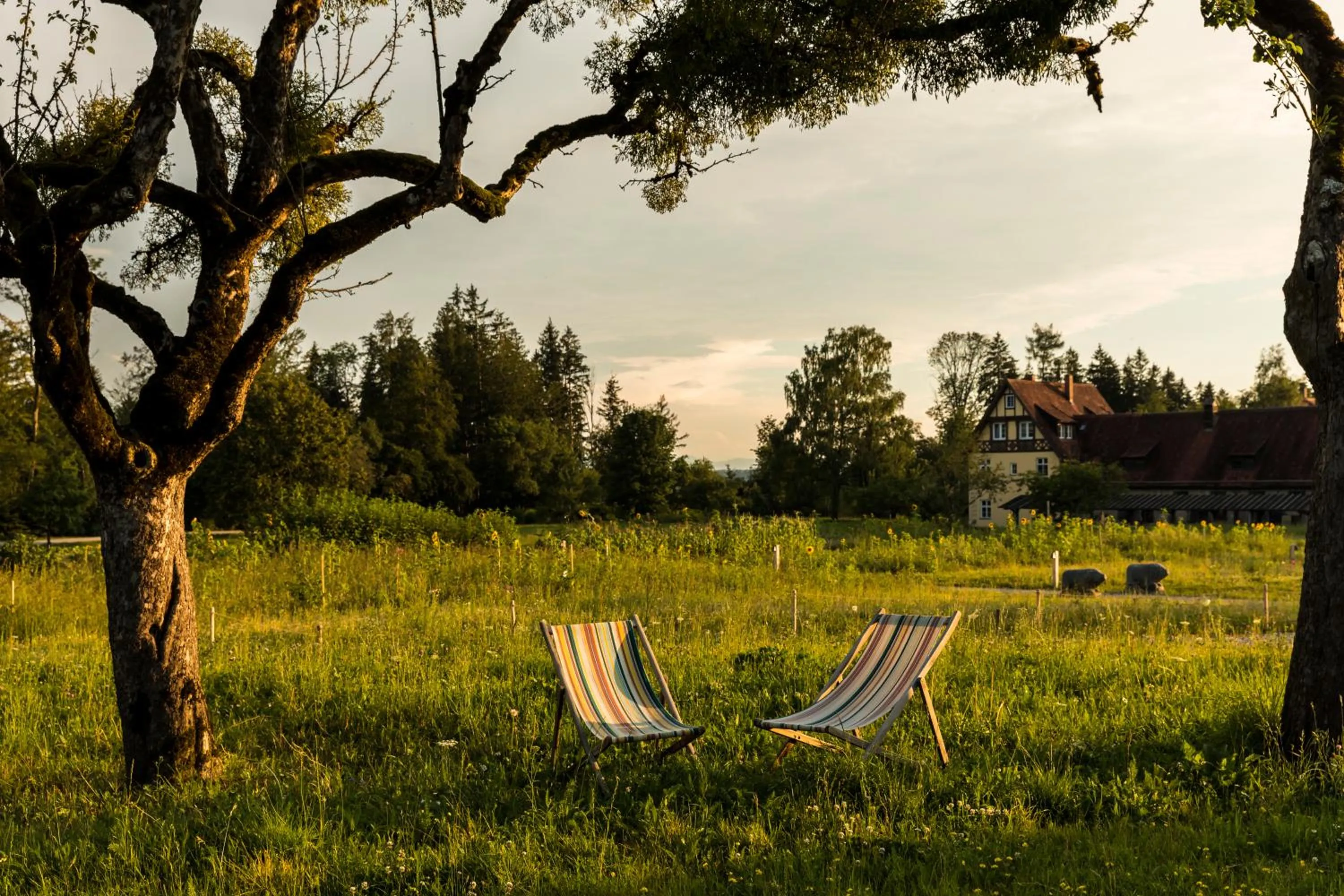 Garden in Gut Sonnenhausen