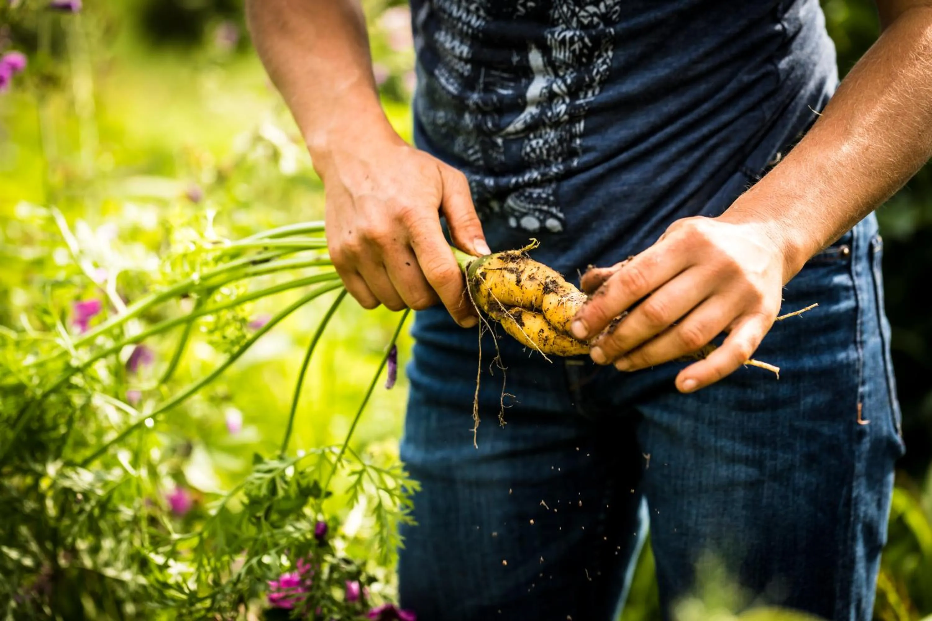 Garden in Gut Sonnenhausen