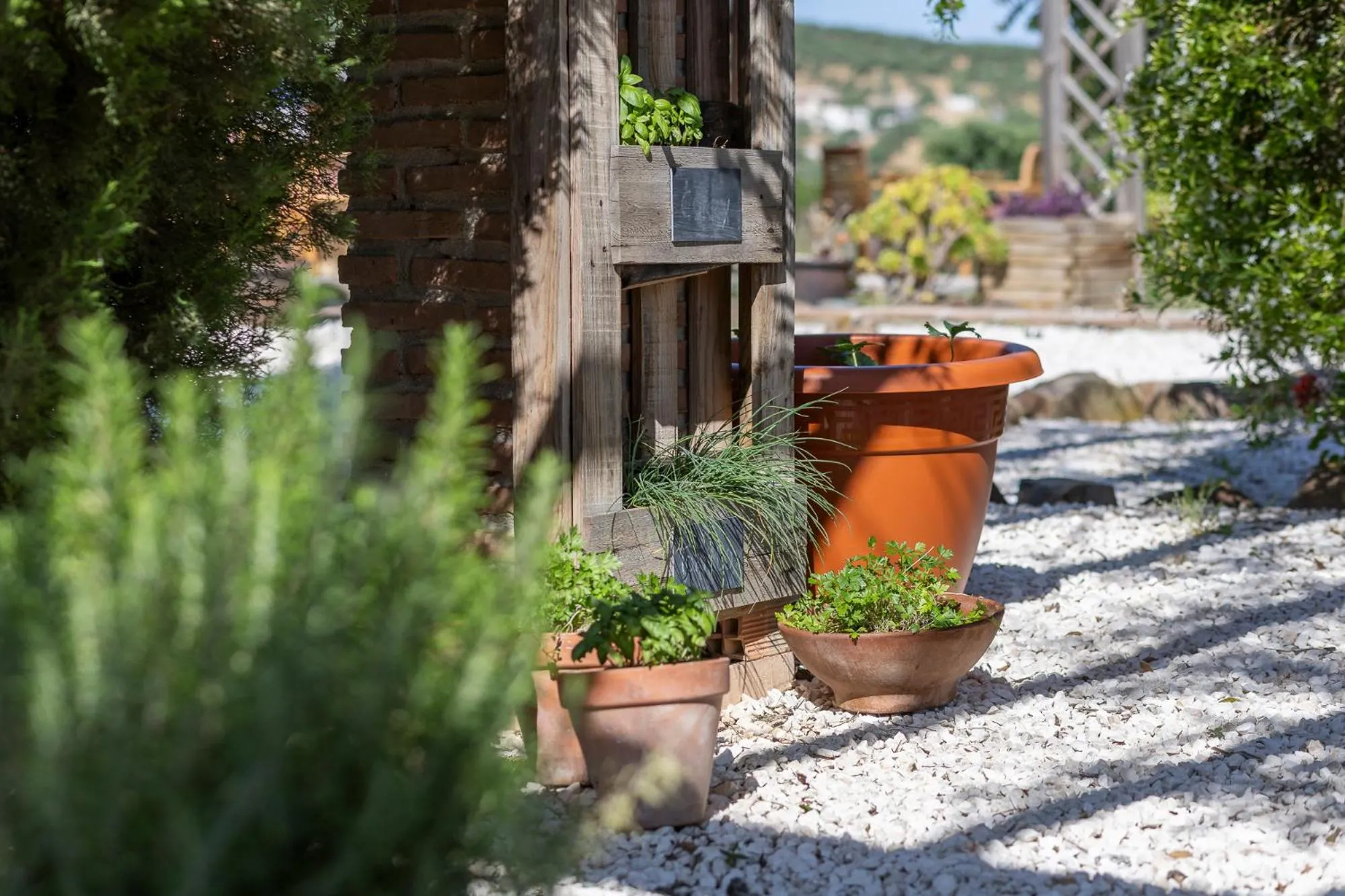Garden in Boutique B&B Cortijo Valverde Álora