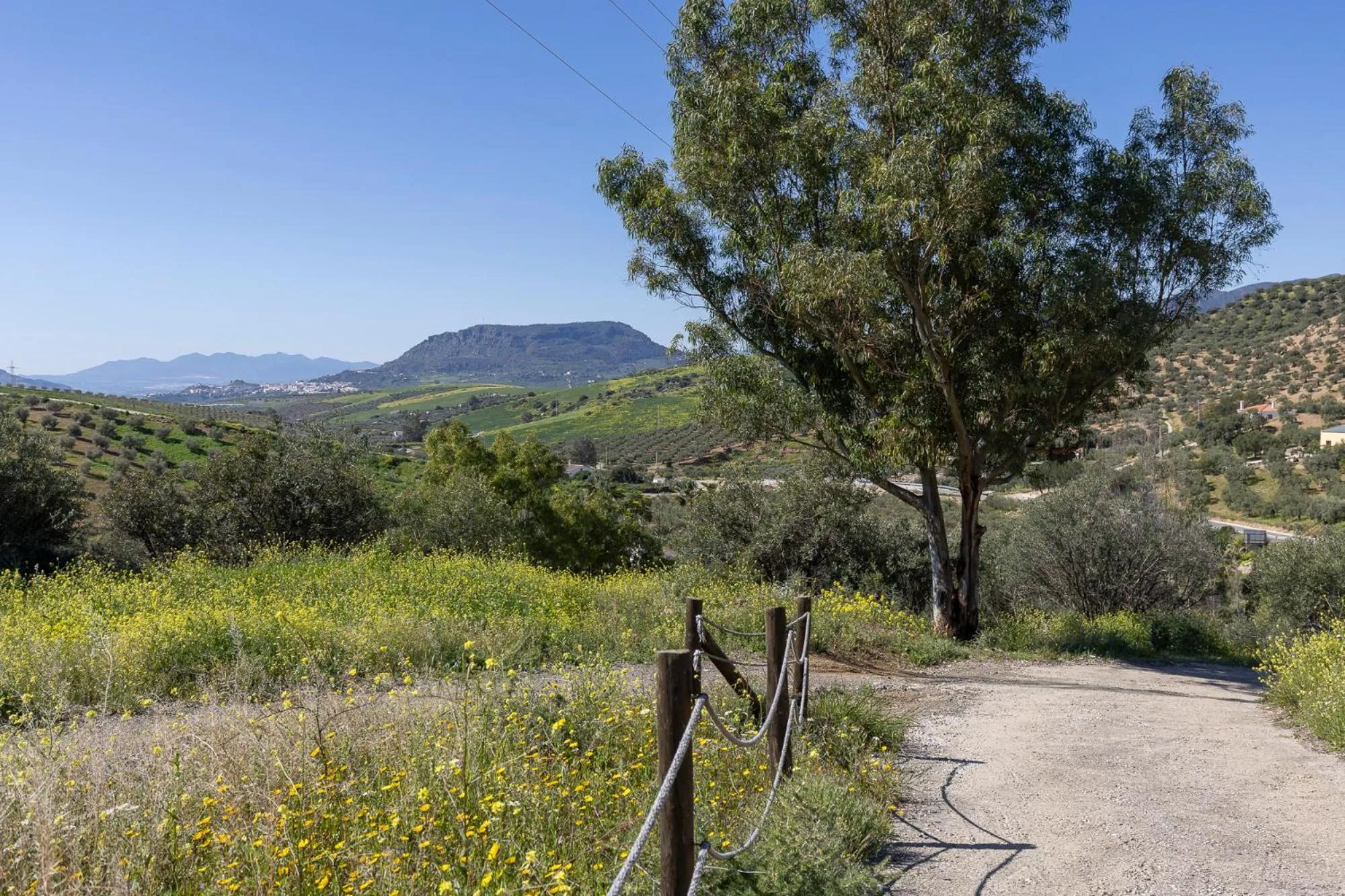 Natural landscape in Boutique B&B Cortijo Valverde Álora