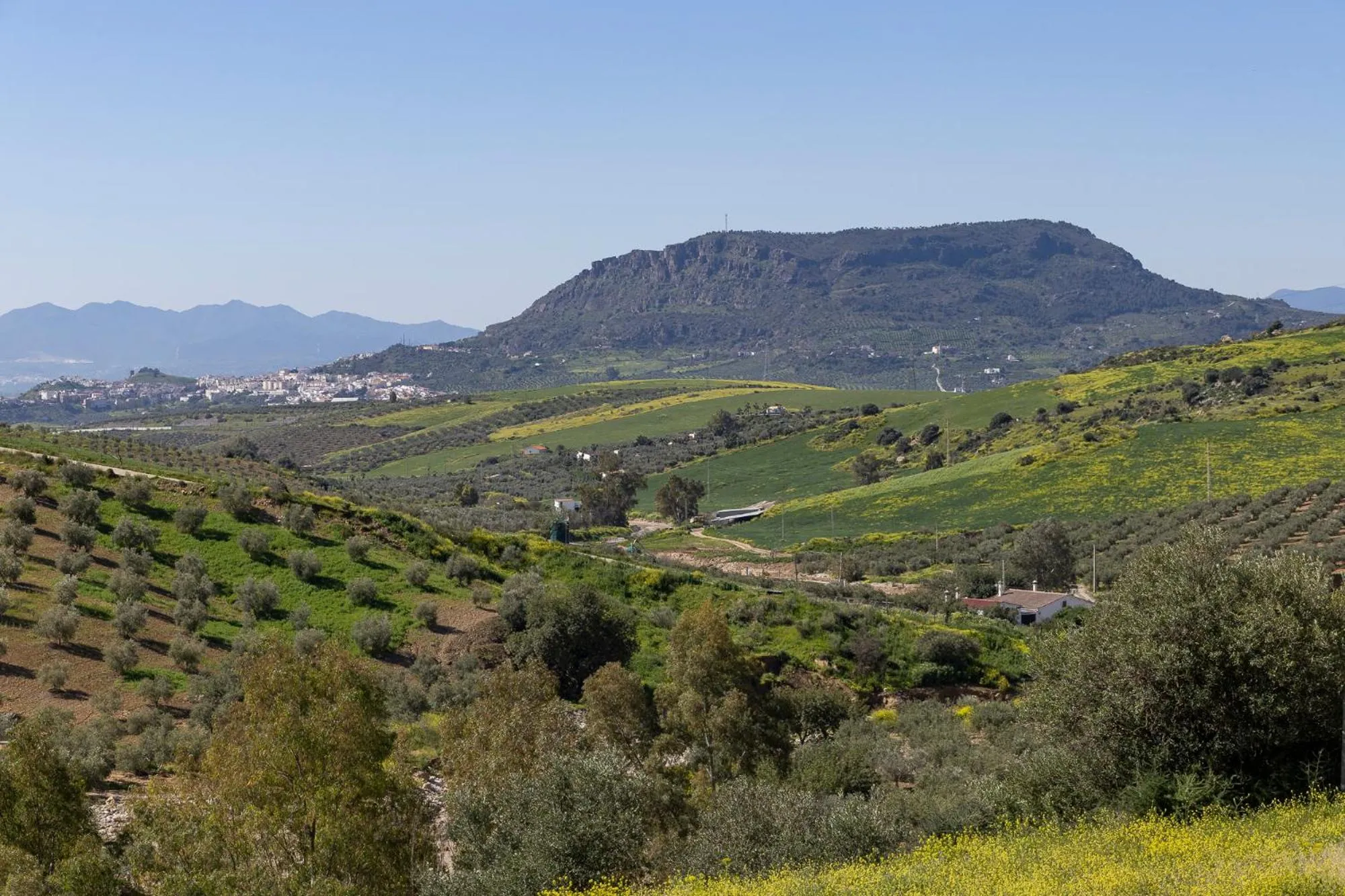 Natural landscape in Boutique B&B Cortijo Valverde Álora