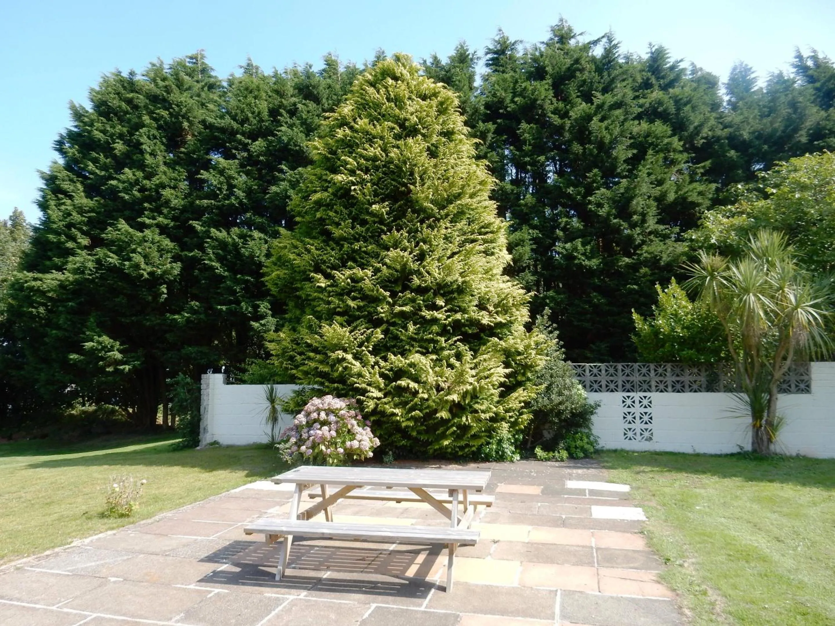 Garden in Sheena's Dartmouth Chalets