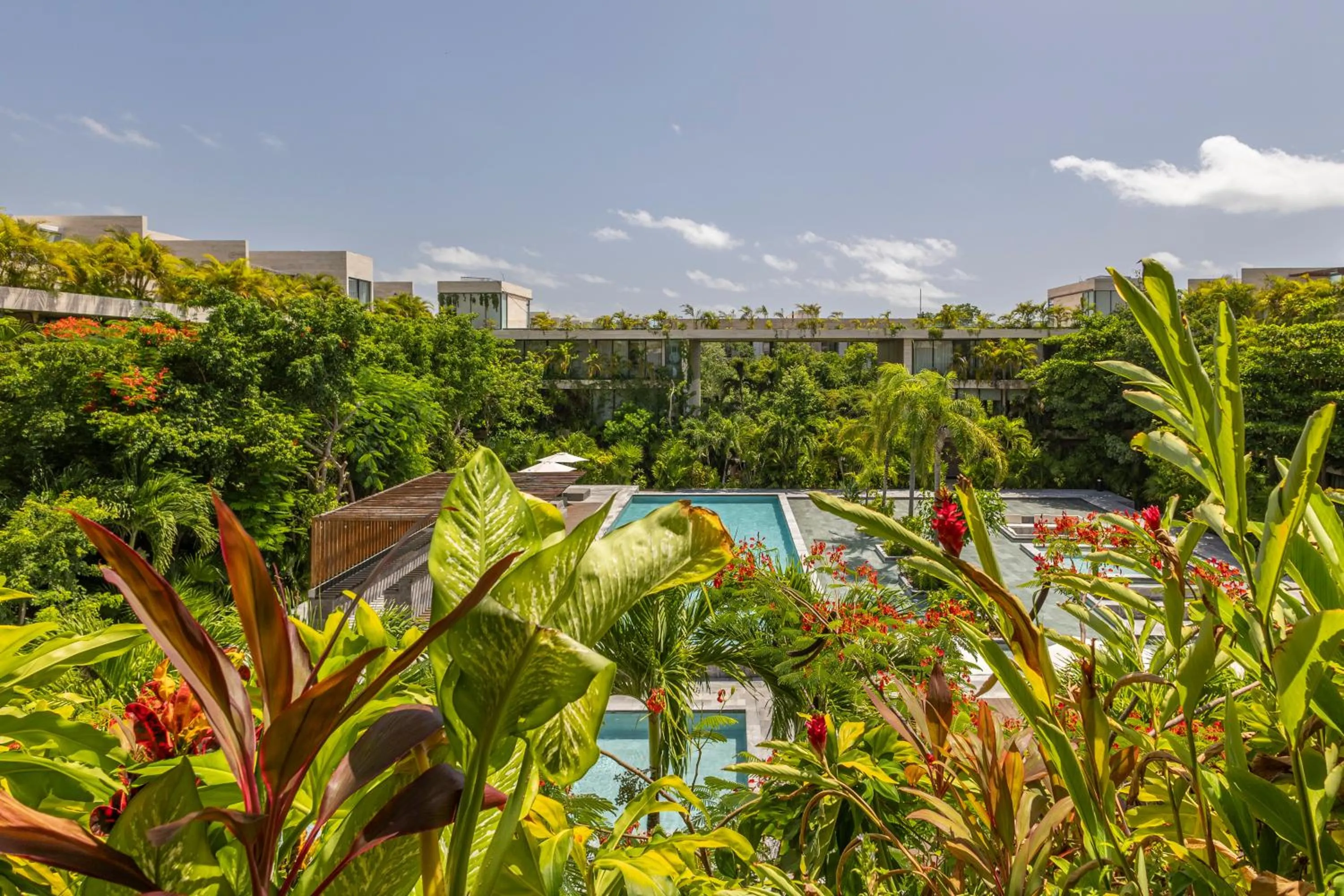Garden view in Mistiq Tulum