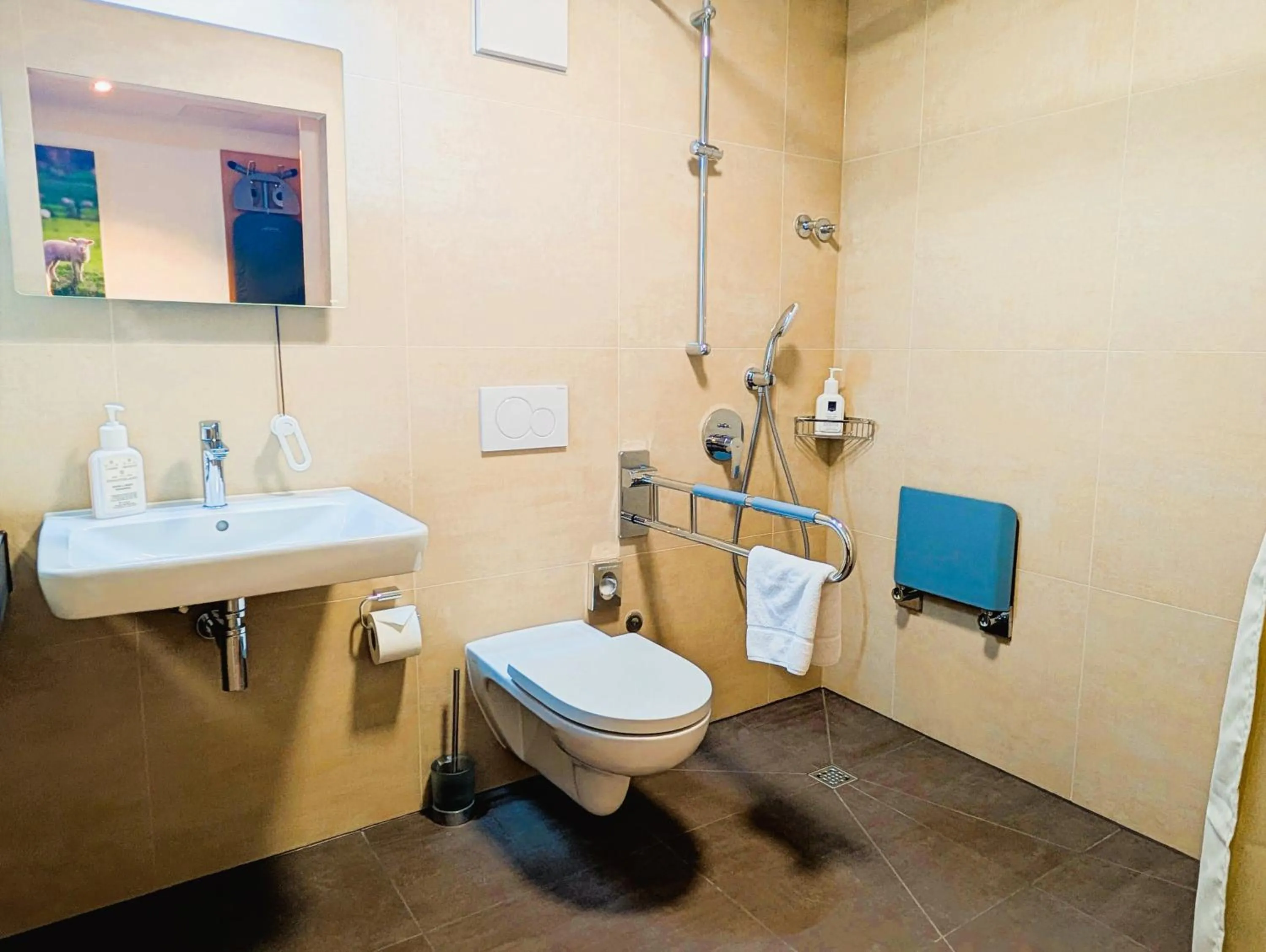 Shower in Hotel Lamm