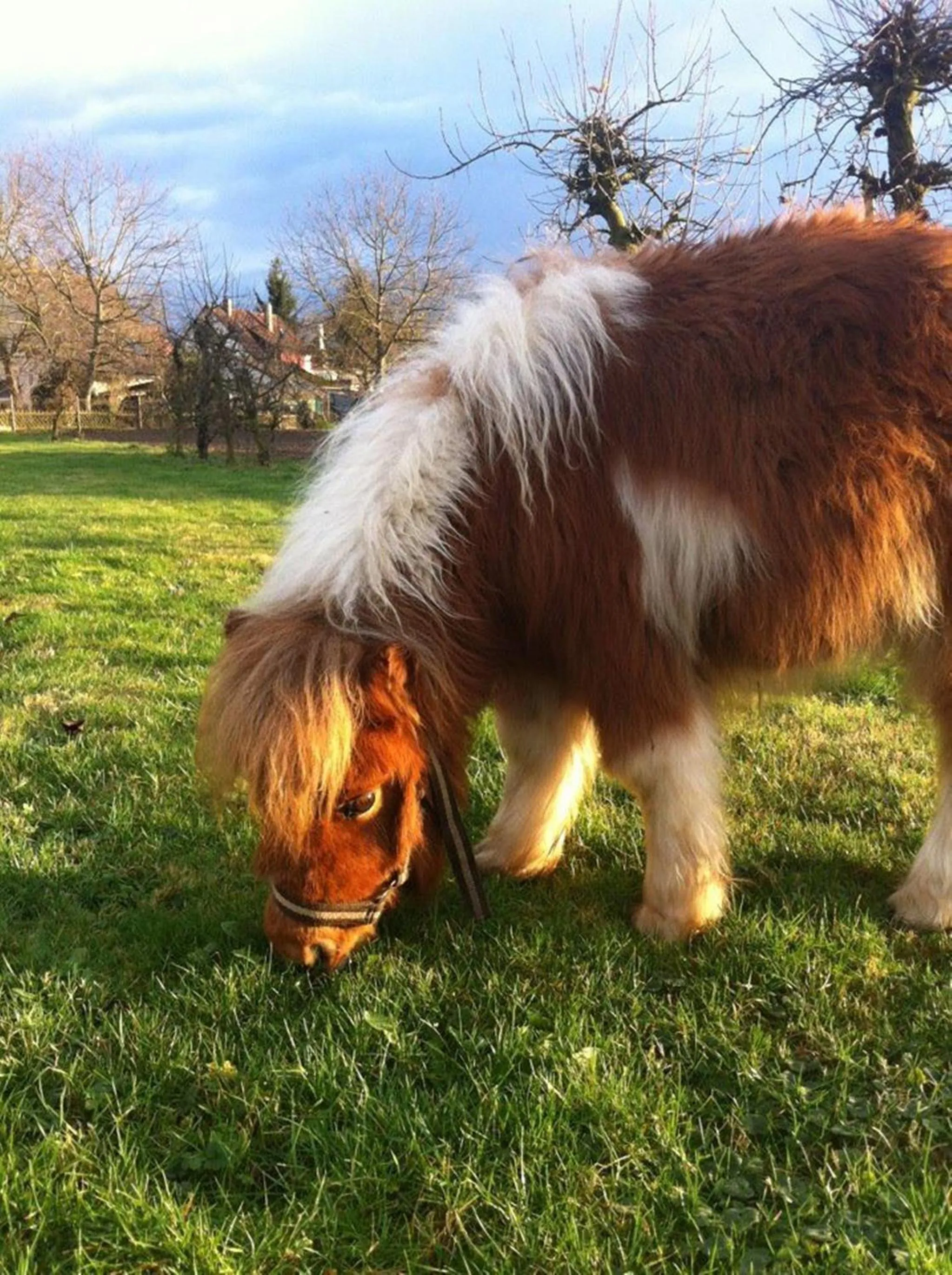 Children play ground in Hotel - Restaurant Hirschen - Werneths Landgasthof beim Europa- Park Rust