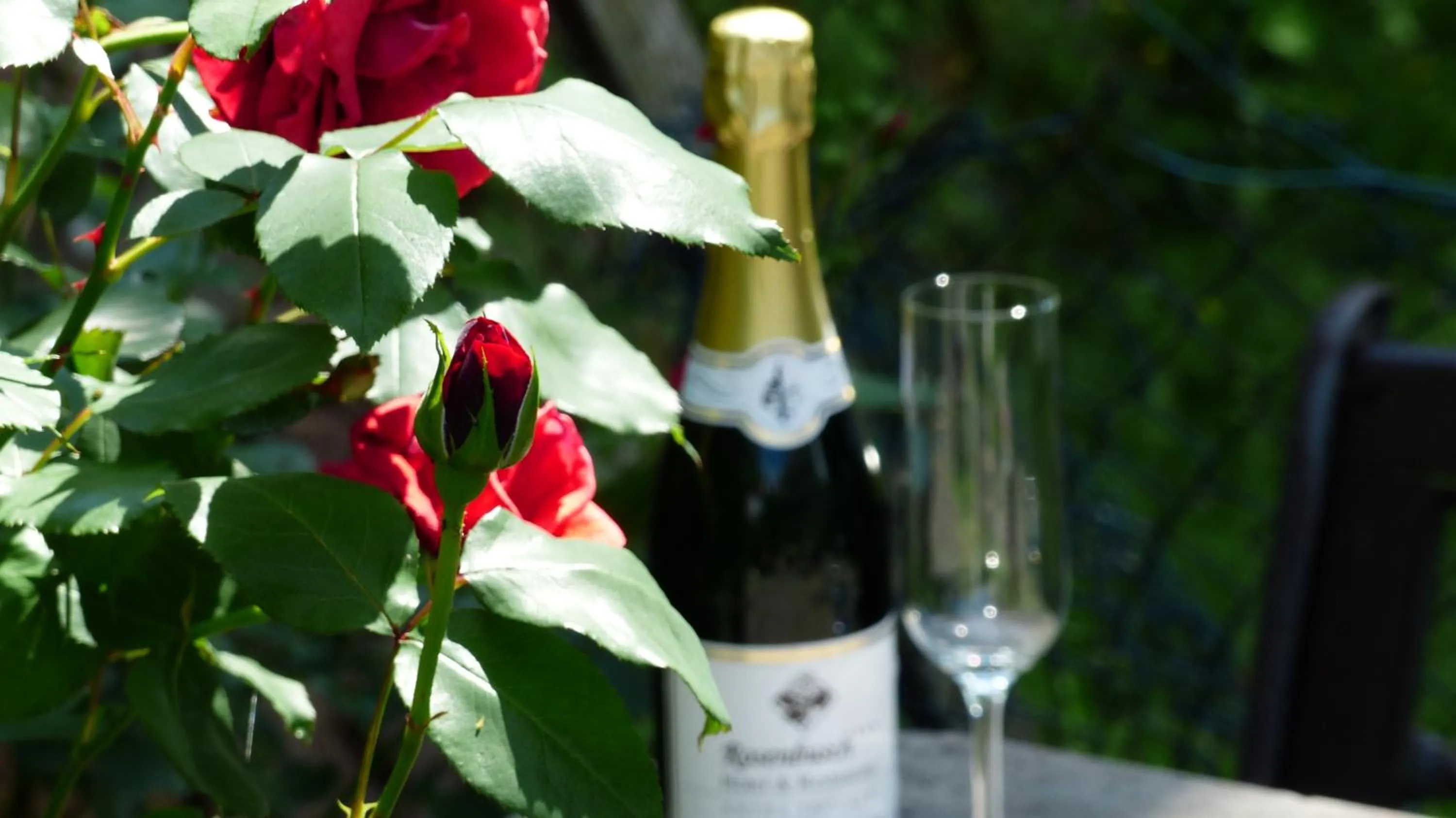 Garden in Hotel Rosenbusch