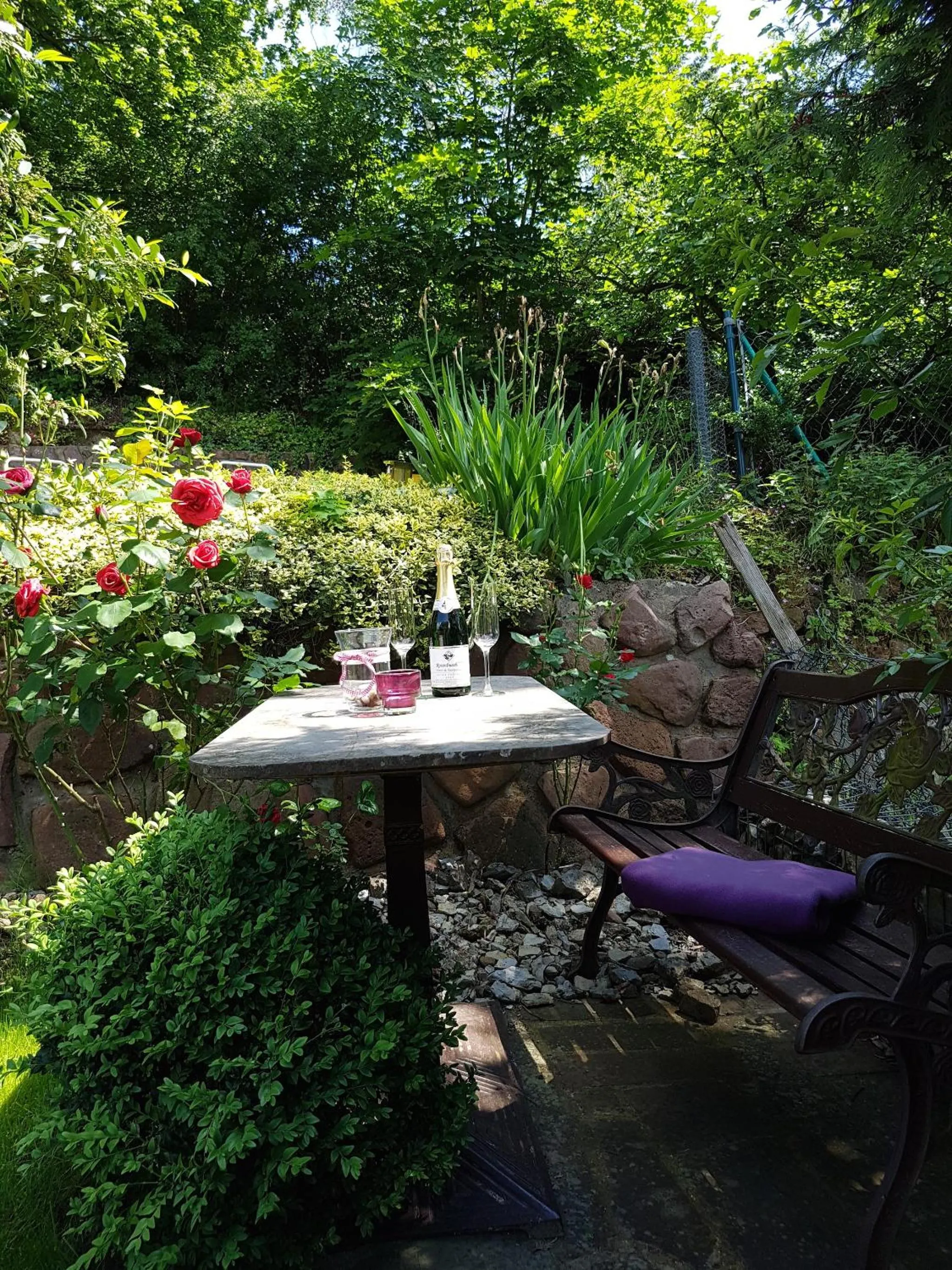 Garden in Hotel Rosenbusch