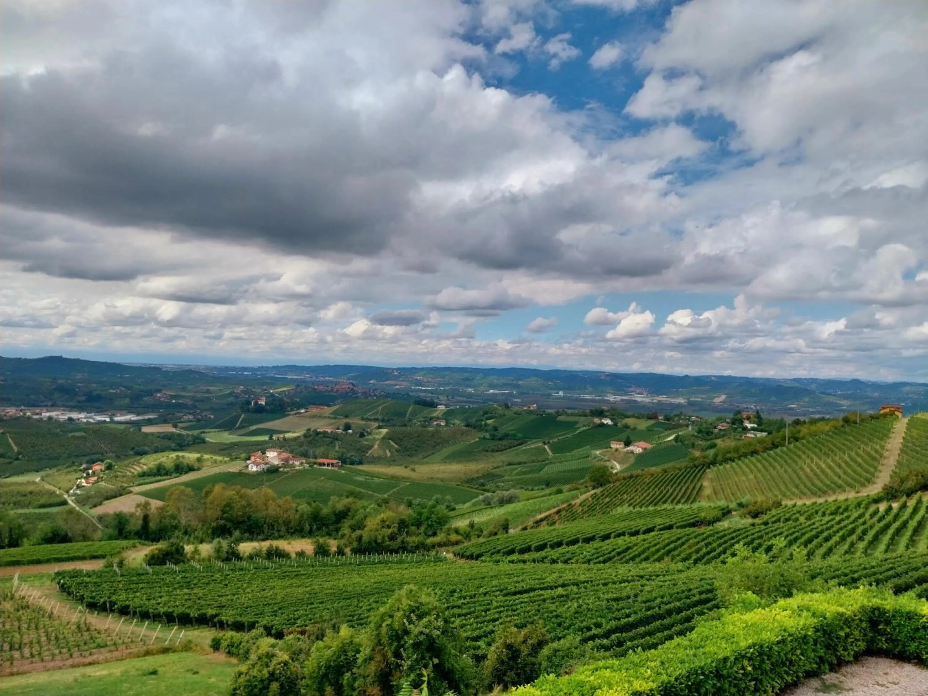 Natural landscape in Villa Bellavista Alba, B&B
