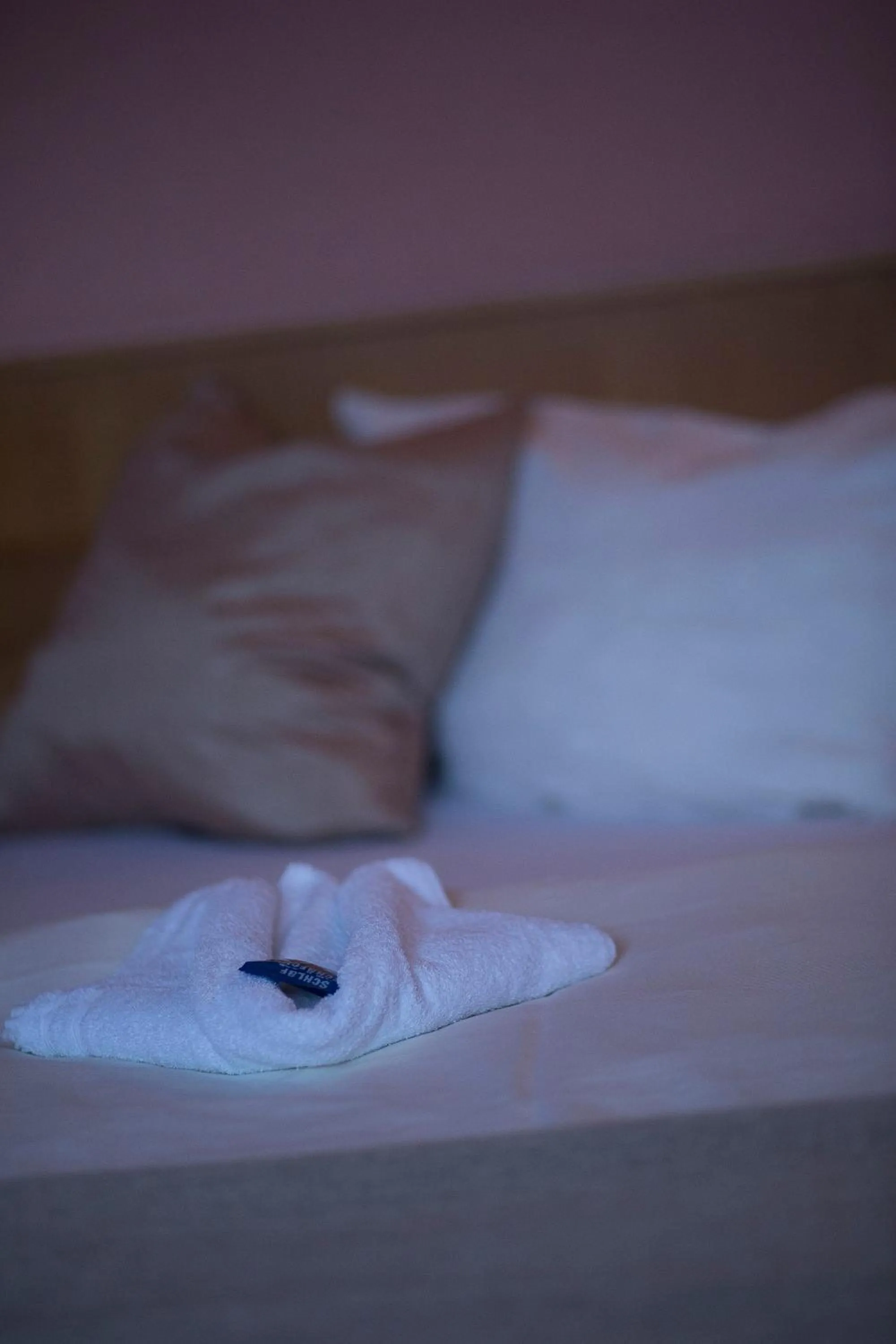 Decorative detail, Bed in Hotel Stadt Peine