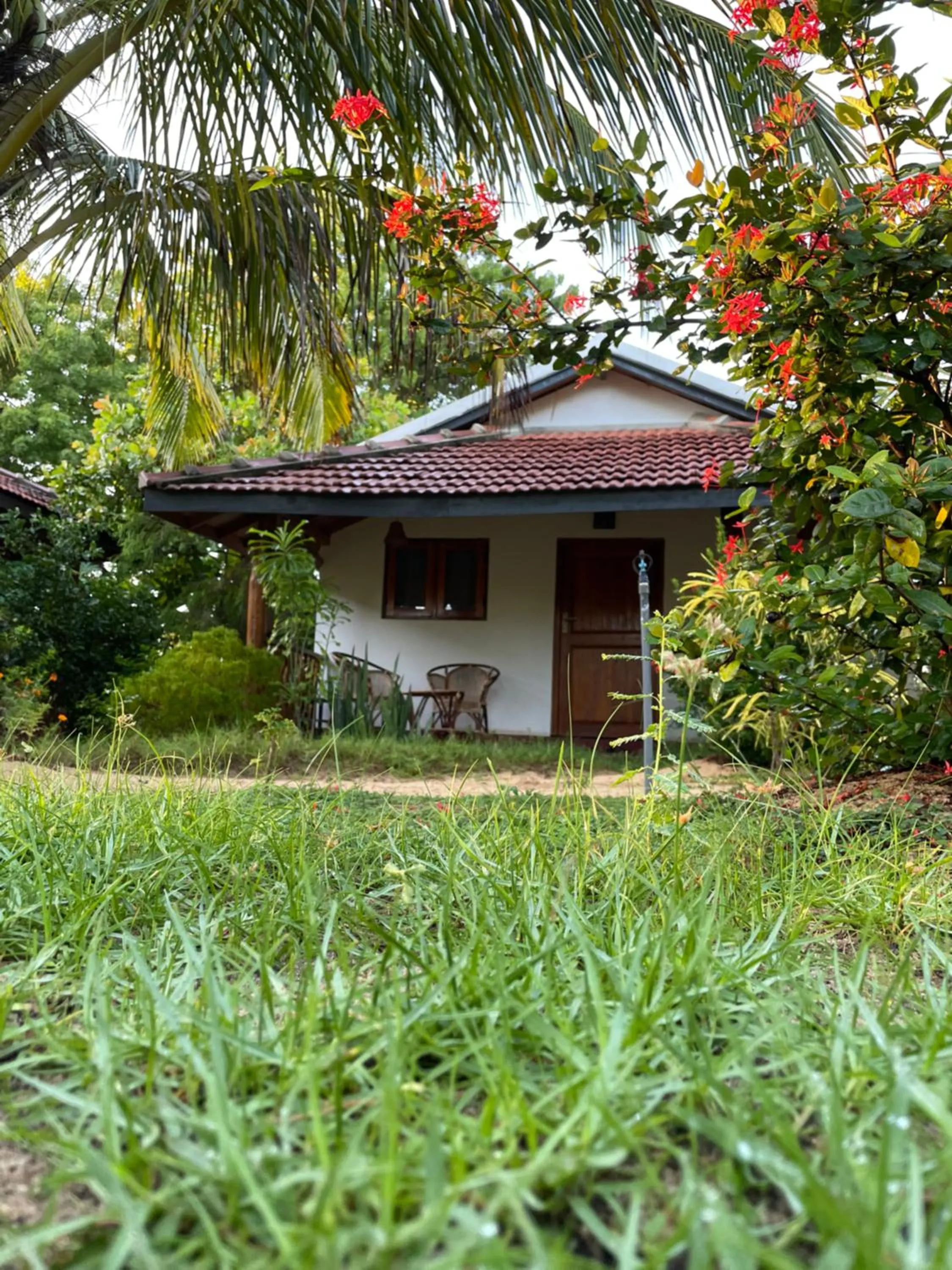 Property building in Prime Surfers Bungalow