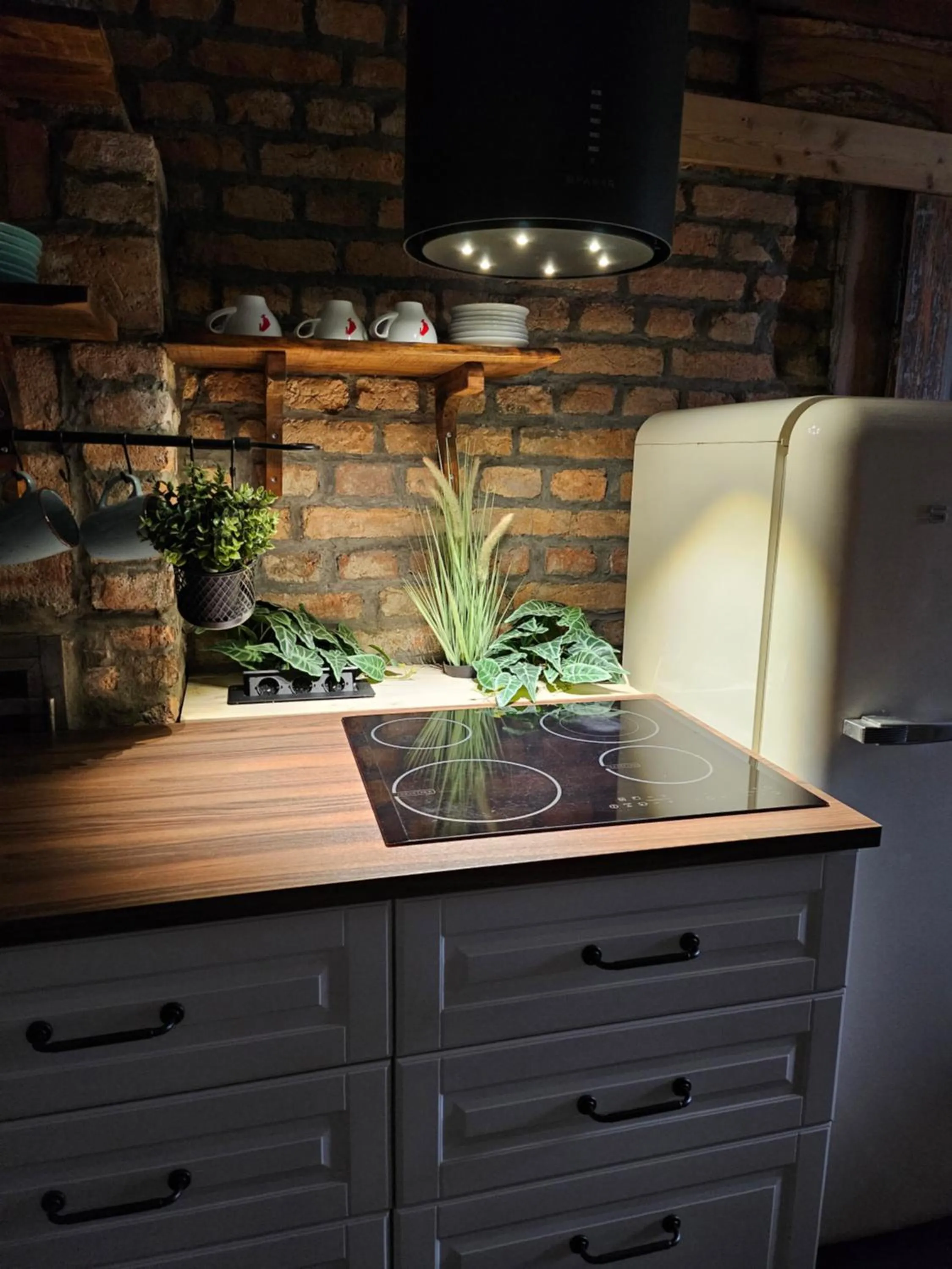 Kitchen or kitchenette in Hiša stare mame