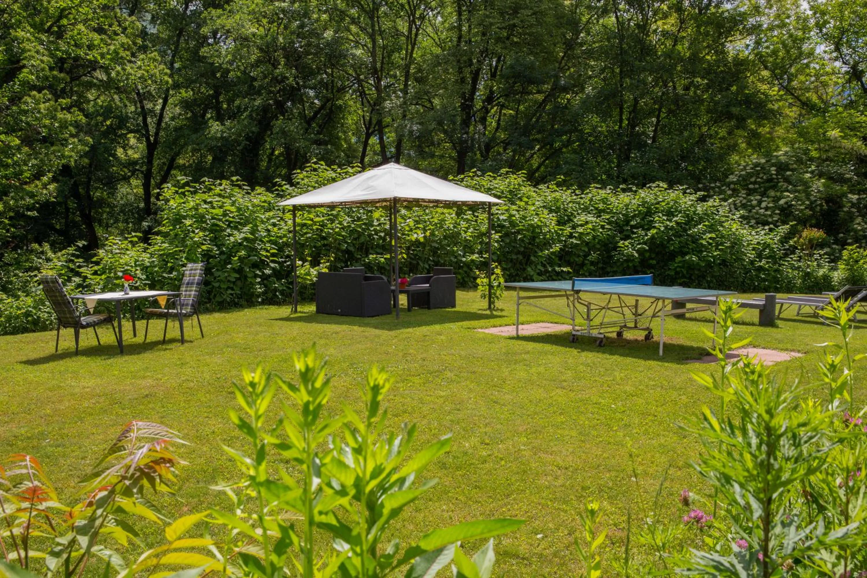 Garden in Hotel Al Fiume