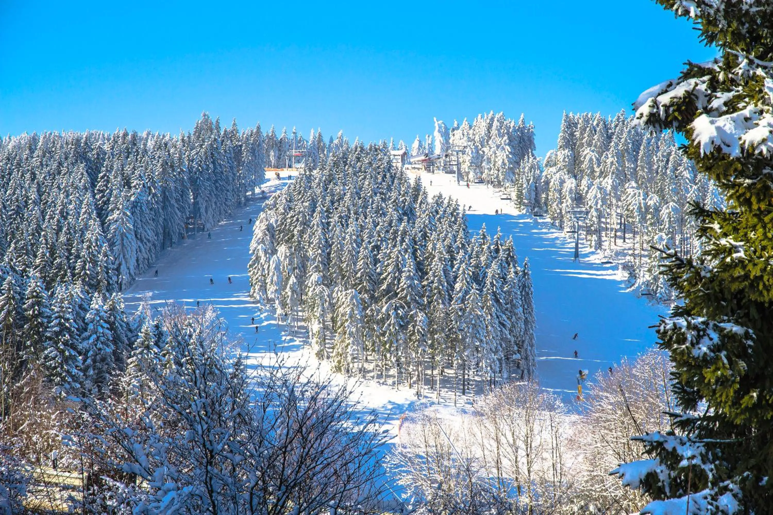 Skiing in Hotel Schneider
