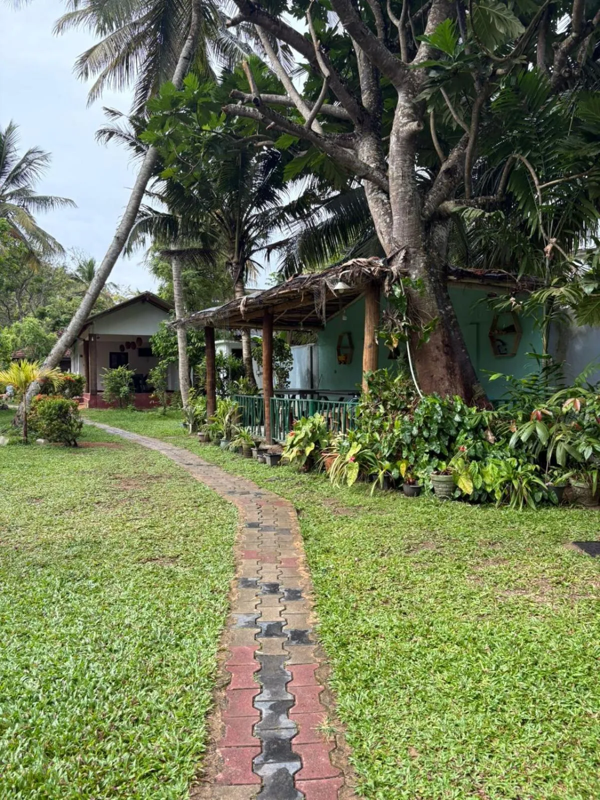 Paradise Bungalow