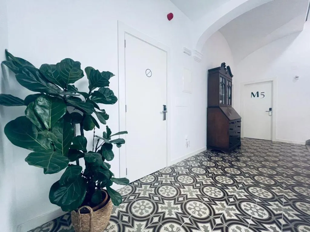 Area and facilities in Hotel Casa Miranda - Adults Only